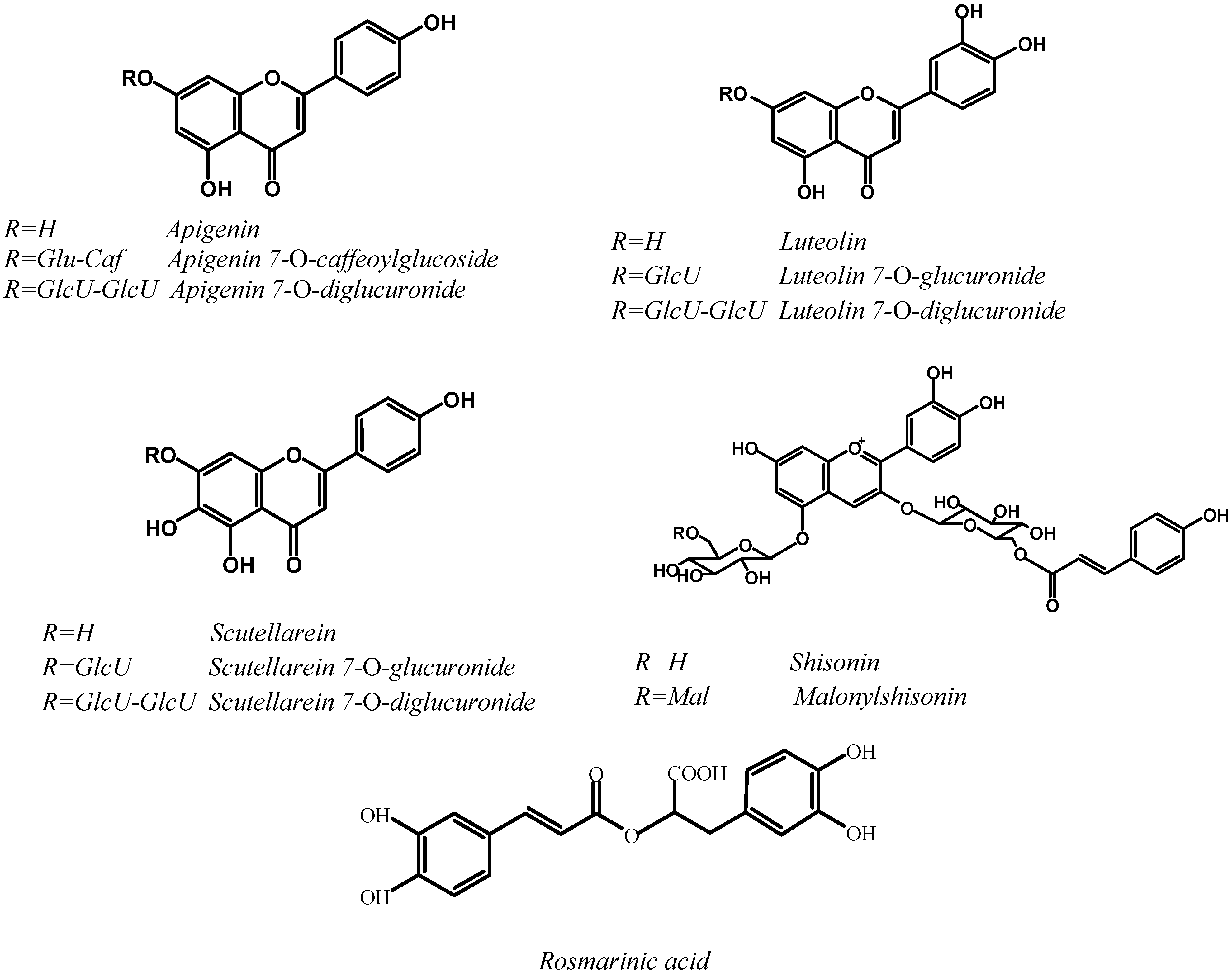 polyphenols thesis polyphenols thesis