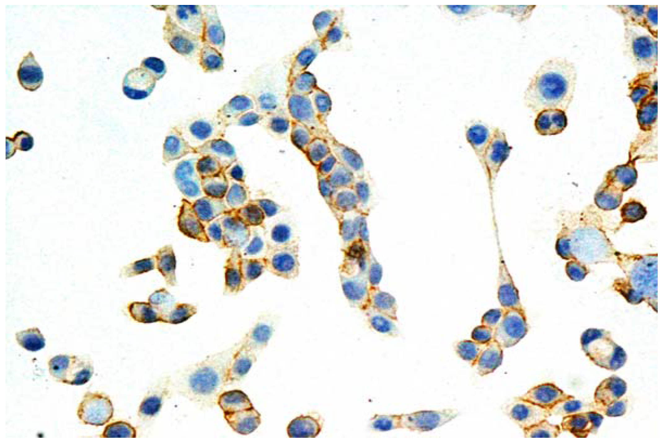 Molecules 15 00857 g002
