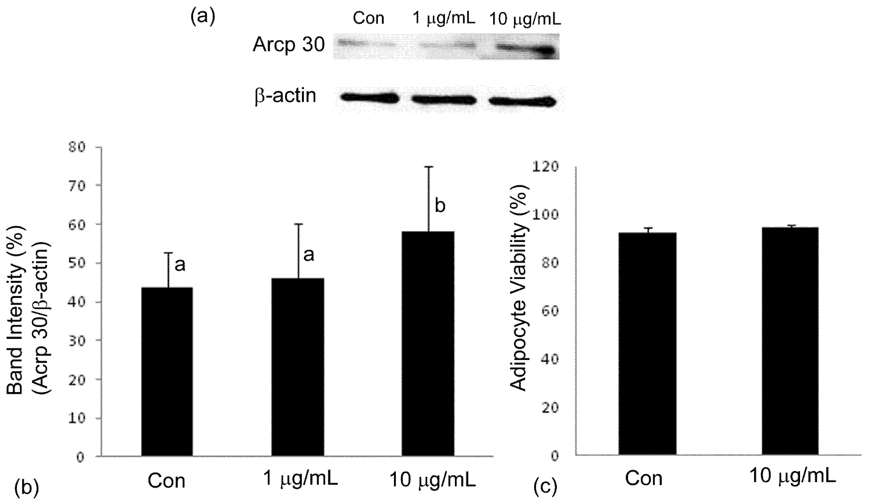 Molecules 16 00477 g006