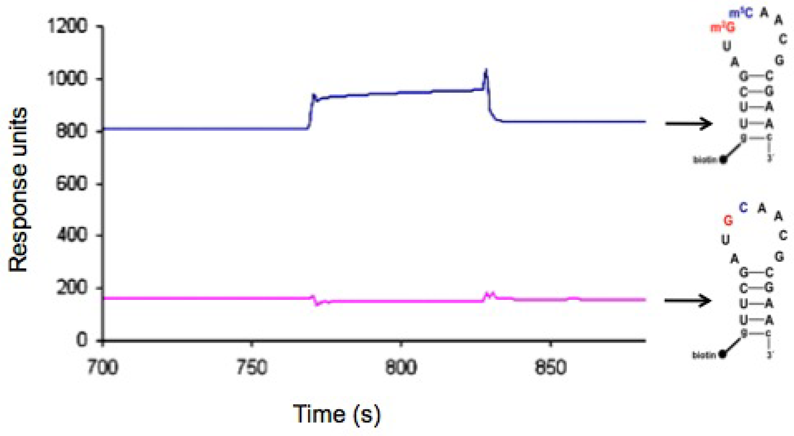 Molecules 16 01211 g009