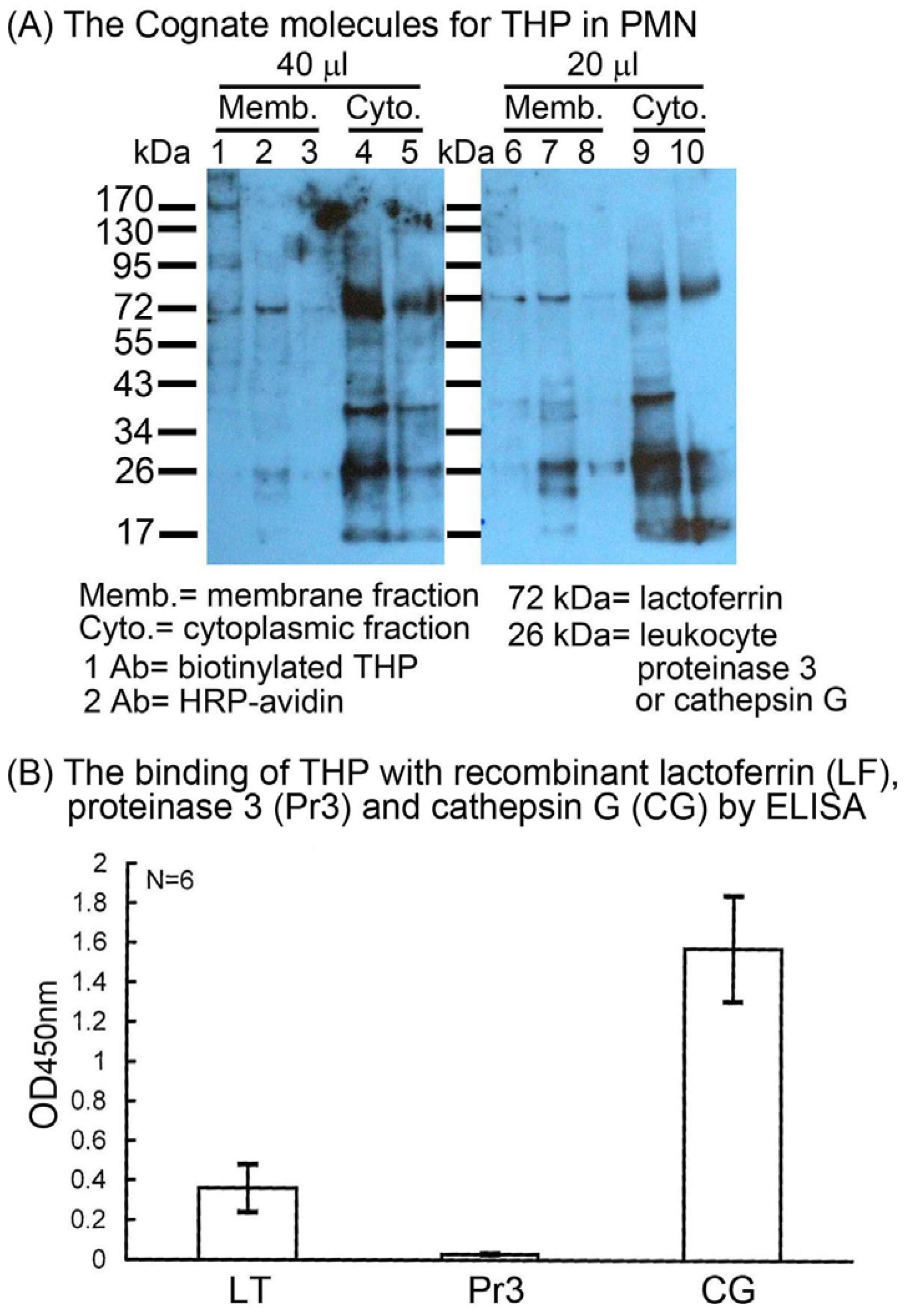 Molecules 16 02119 g002