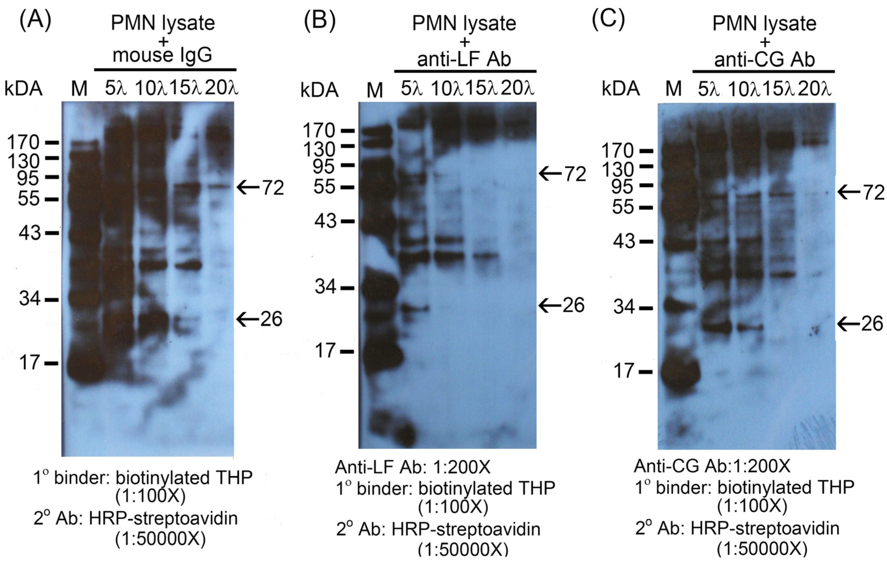 Molecules 16 02119 g003