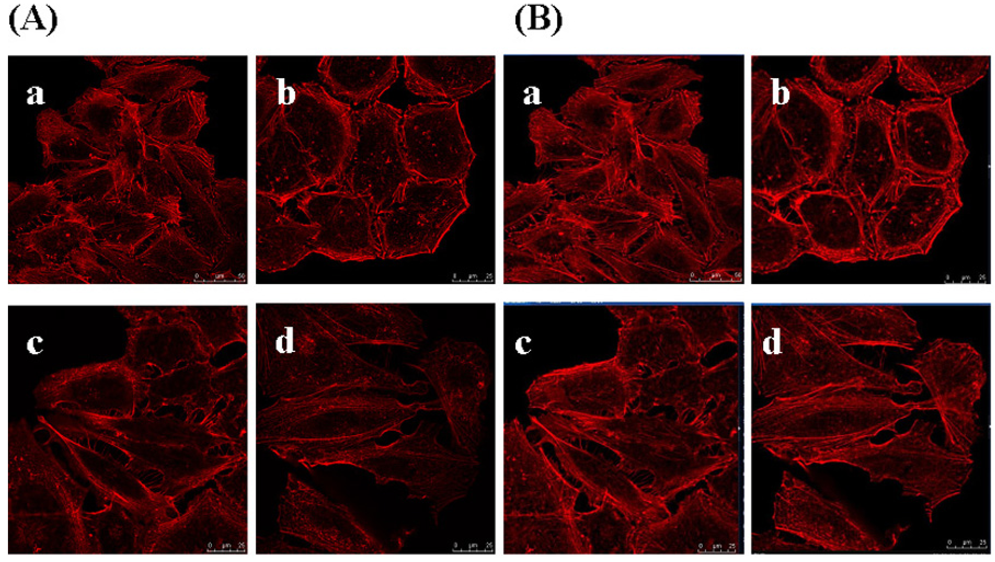 Molecules 16 04958 g008