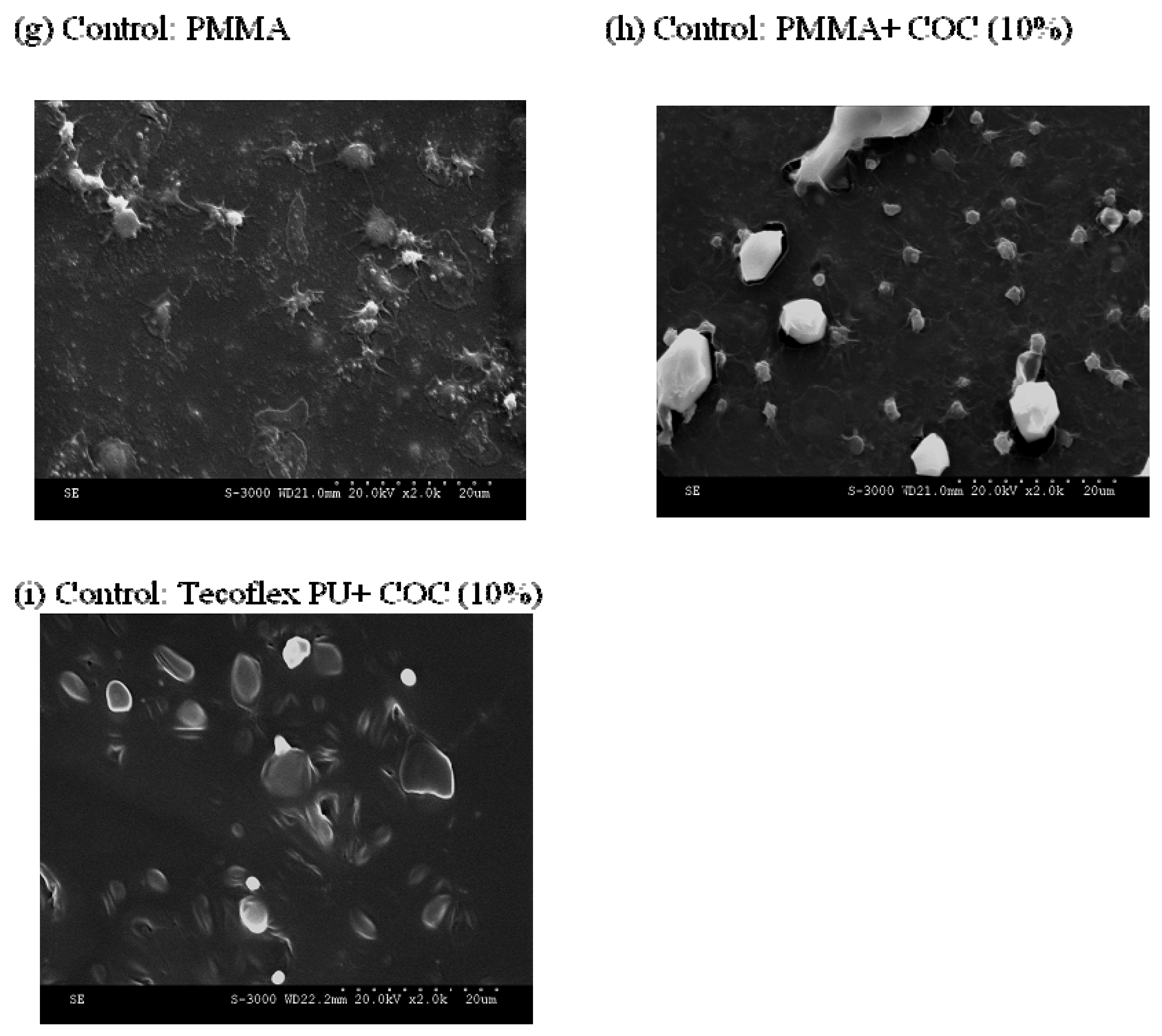 Molecules 16 08181 g003b
