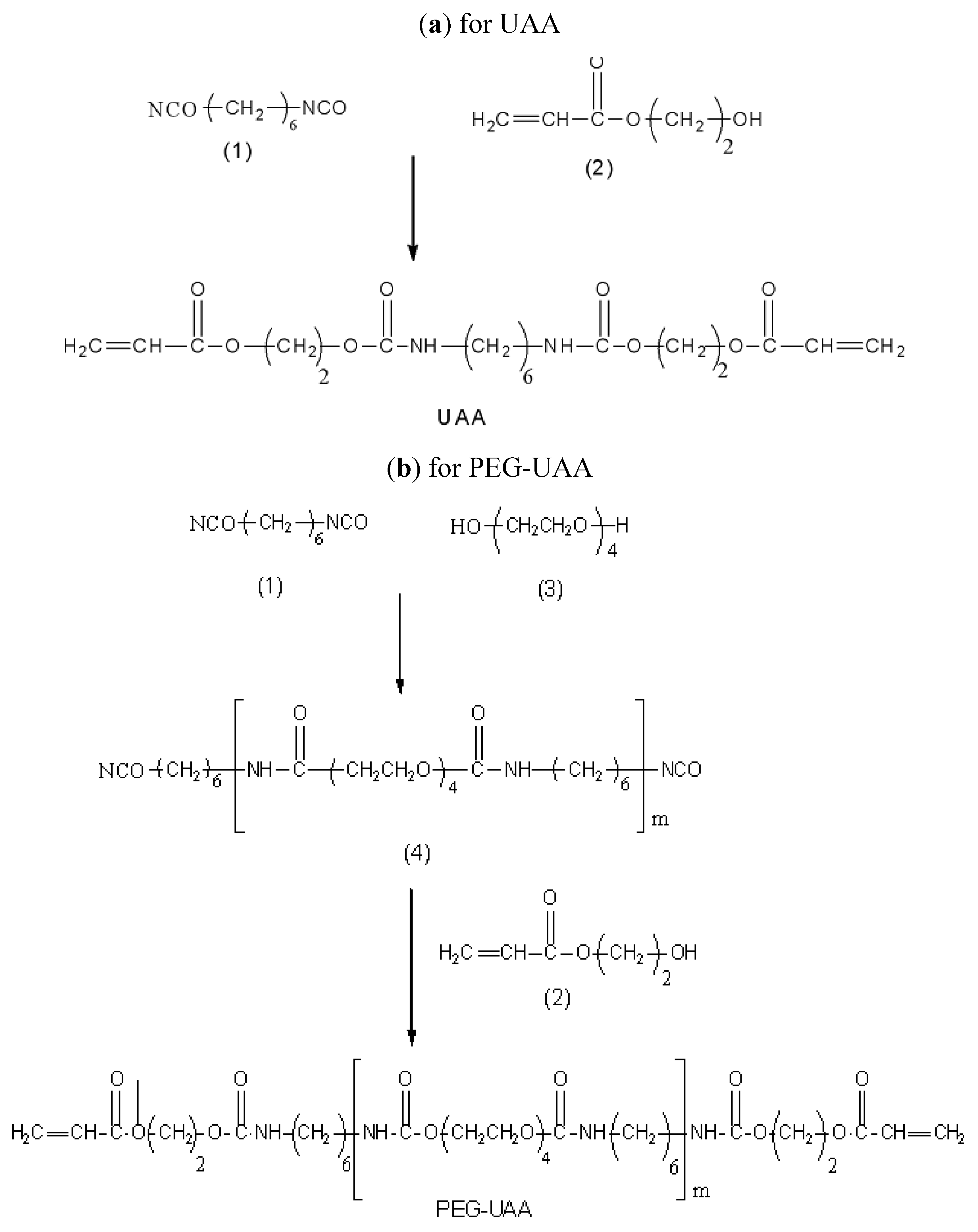 Molecules 16 08181 sch002