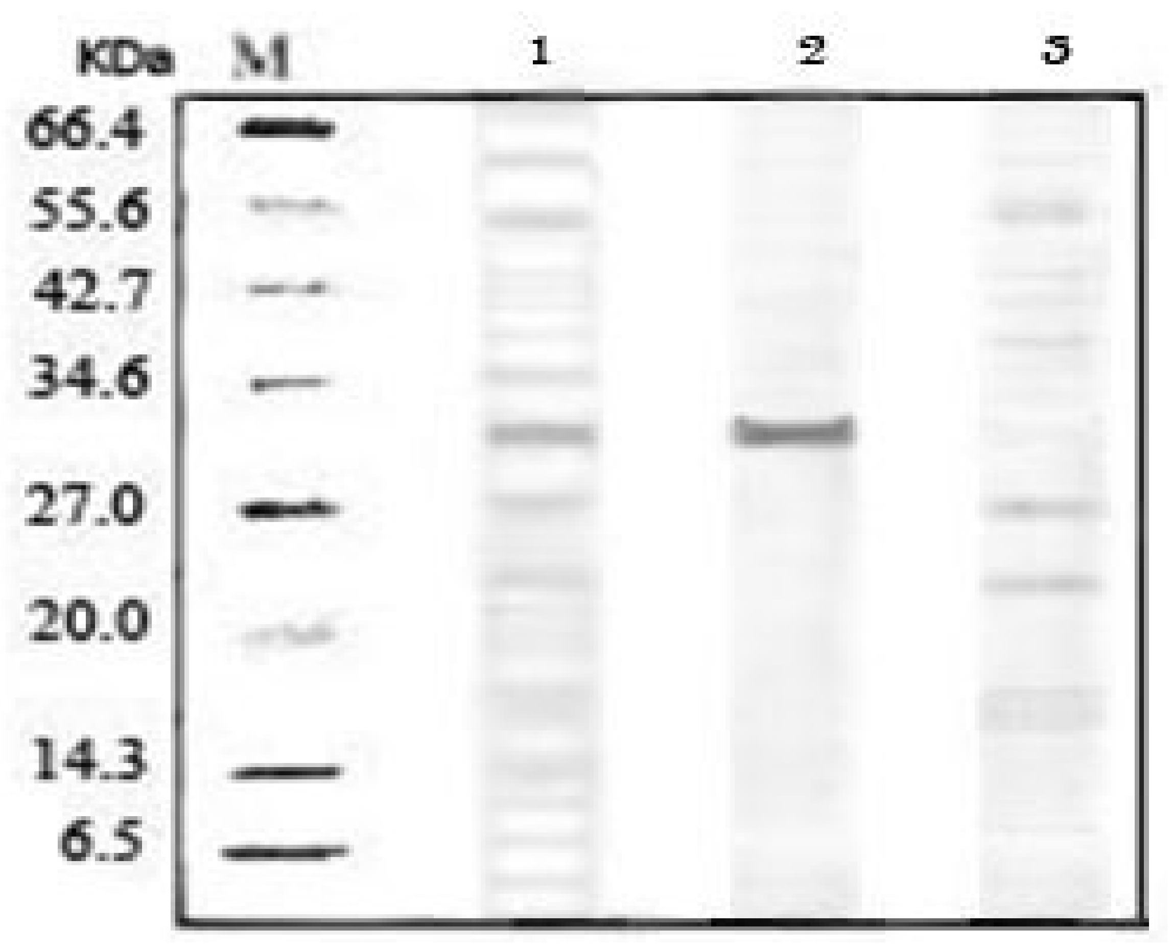 Molecules 16 08419 g003