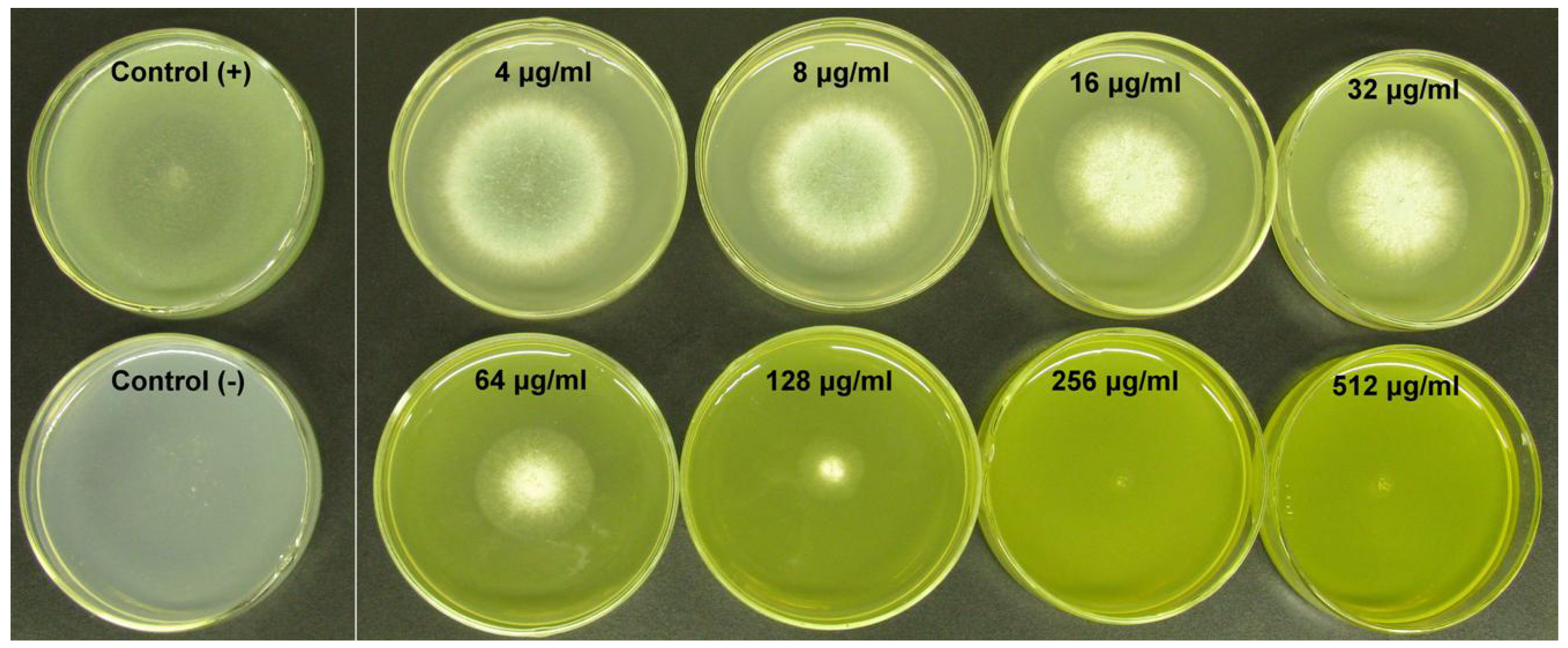Molecules 16 09218 g003