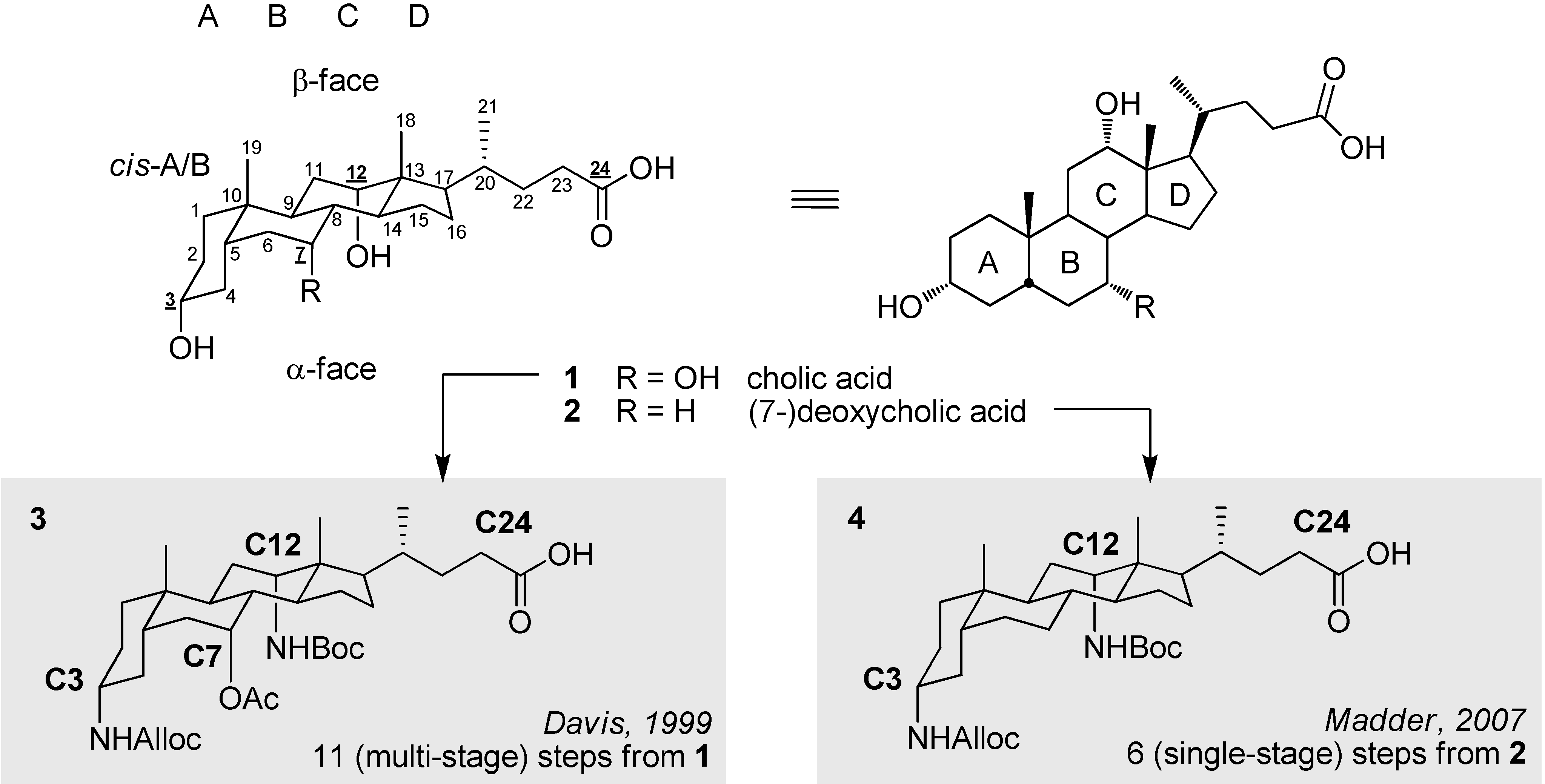 Molecules 16 10168 g001