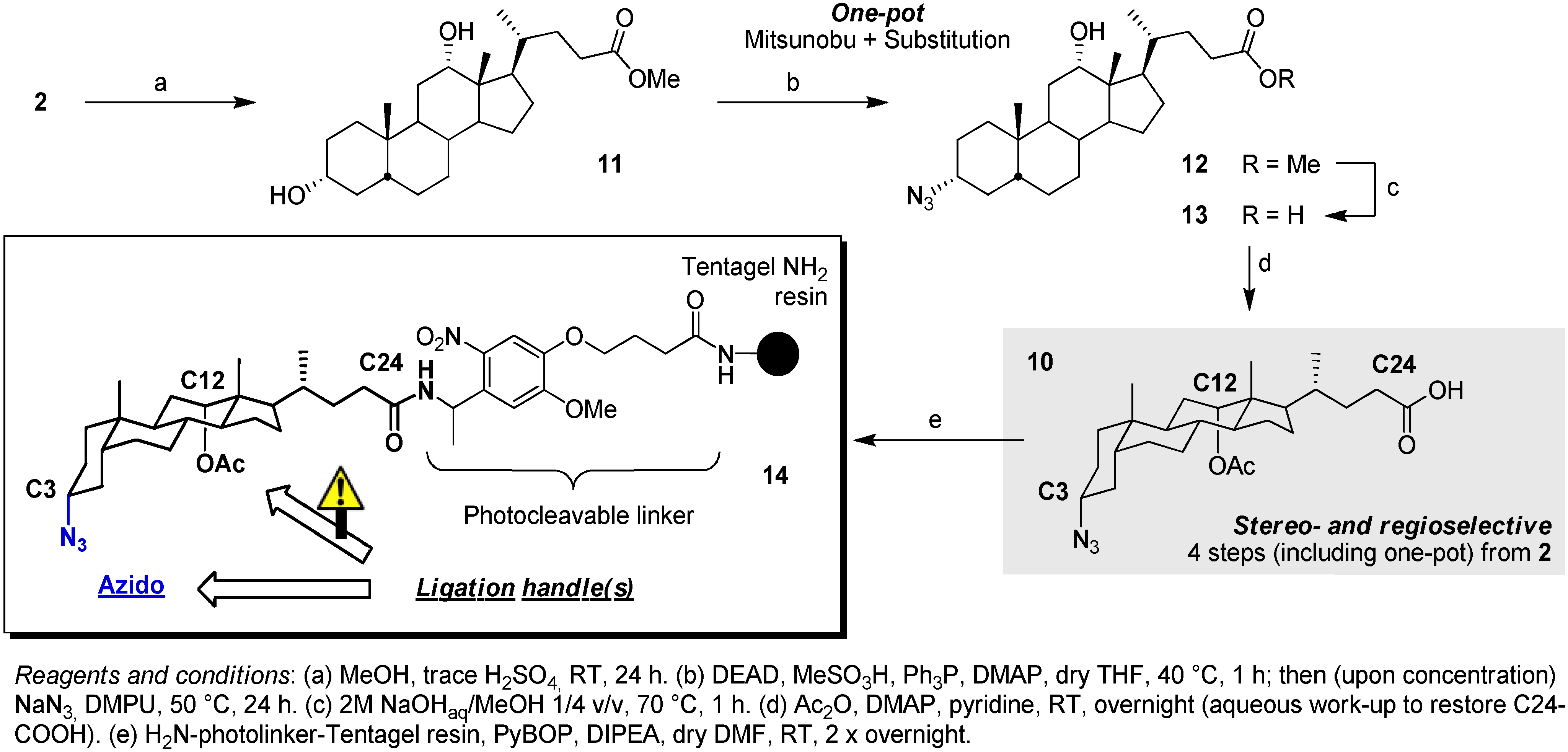 Molecules 16 10168 g004