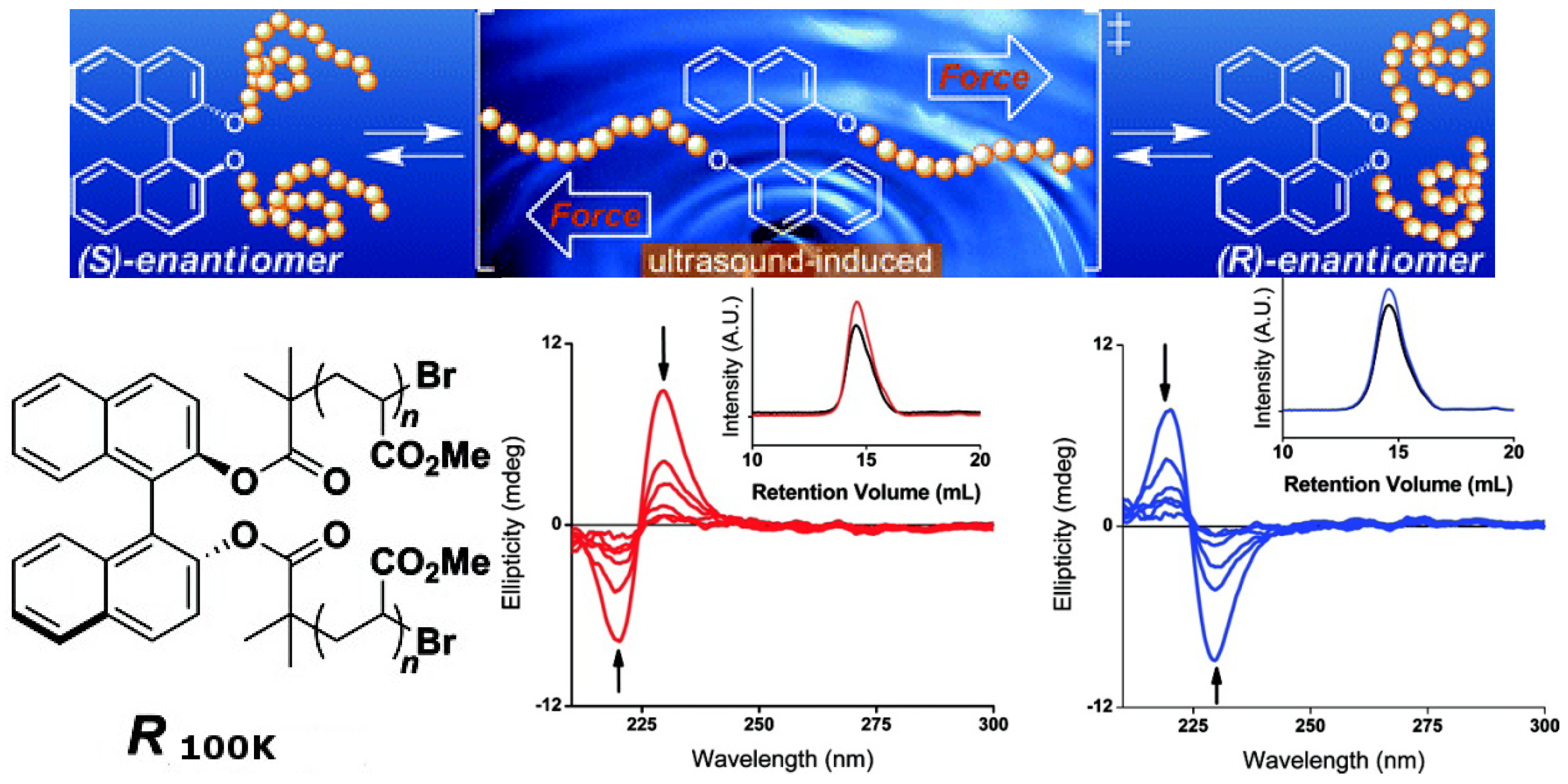 Molecules 17 01247 g019