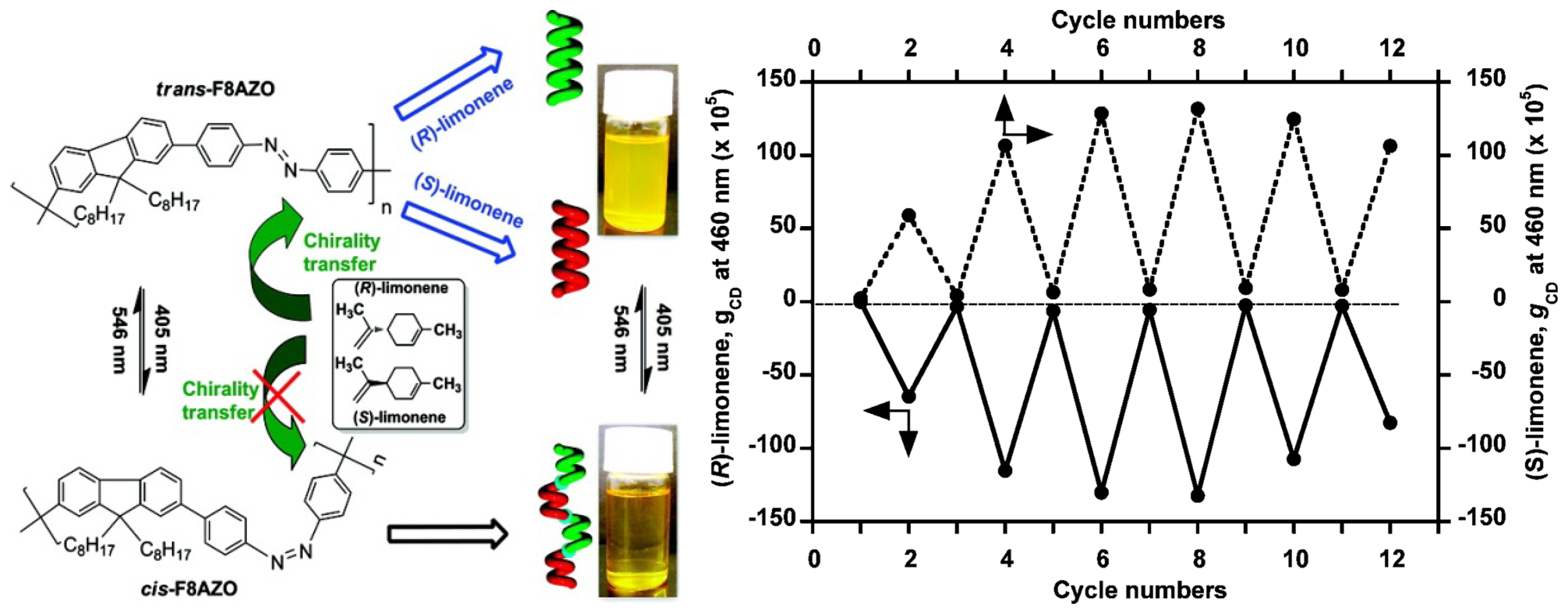 Molecules 17 01247 g021