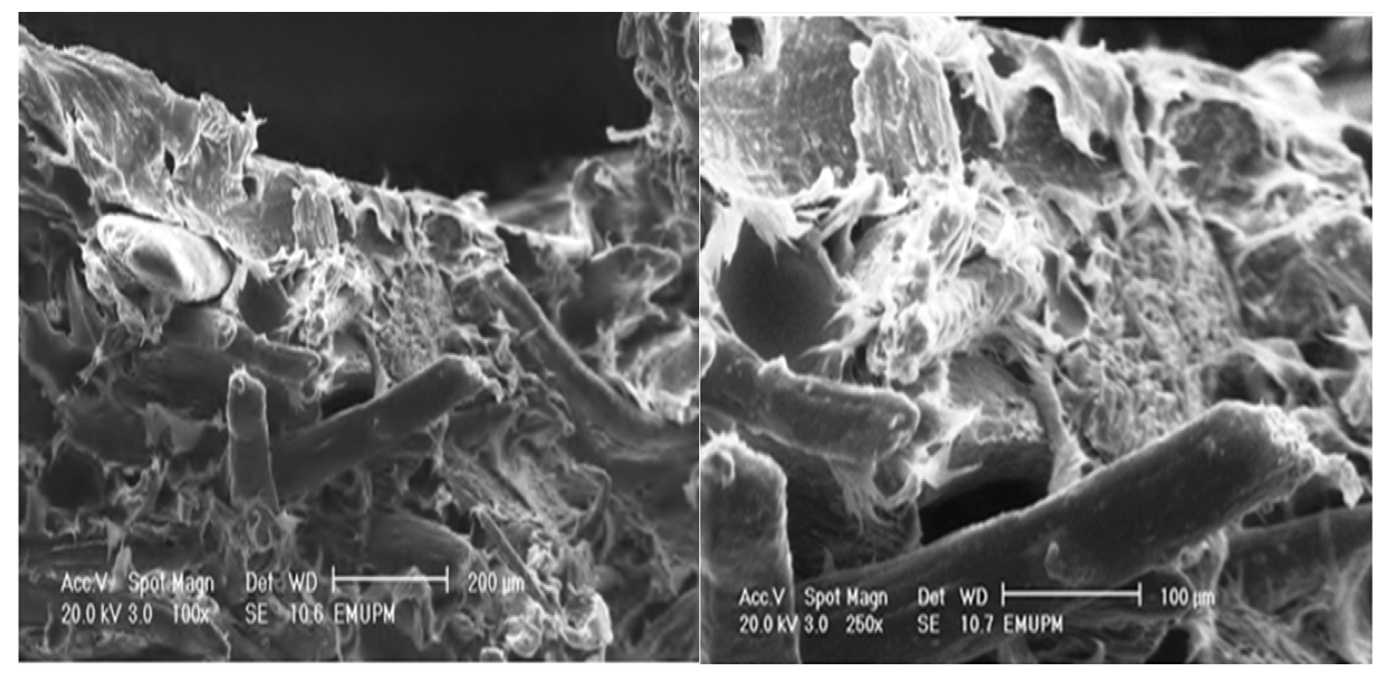 Molecules 17 01969 g011