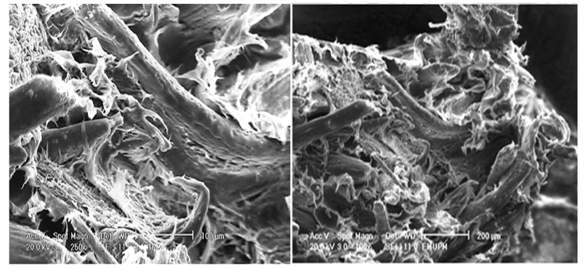 Molecules 17 01969 g012