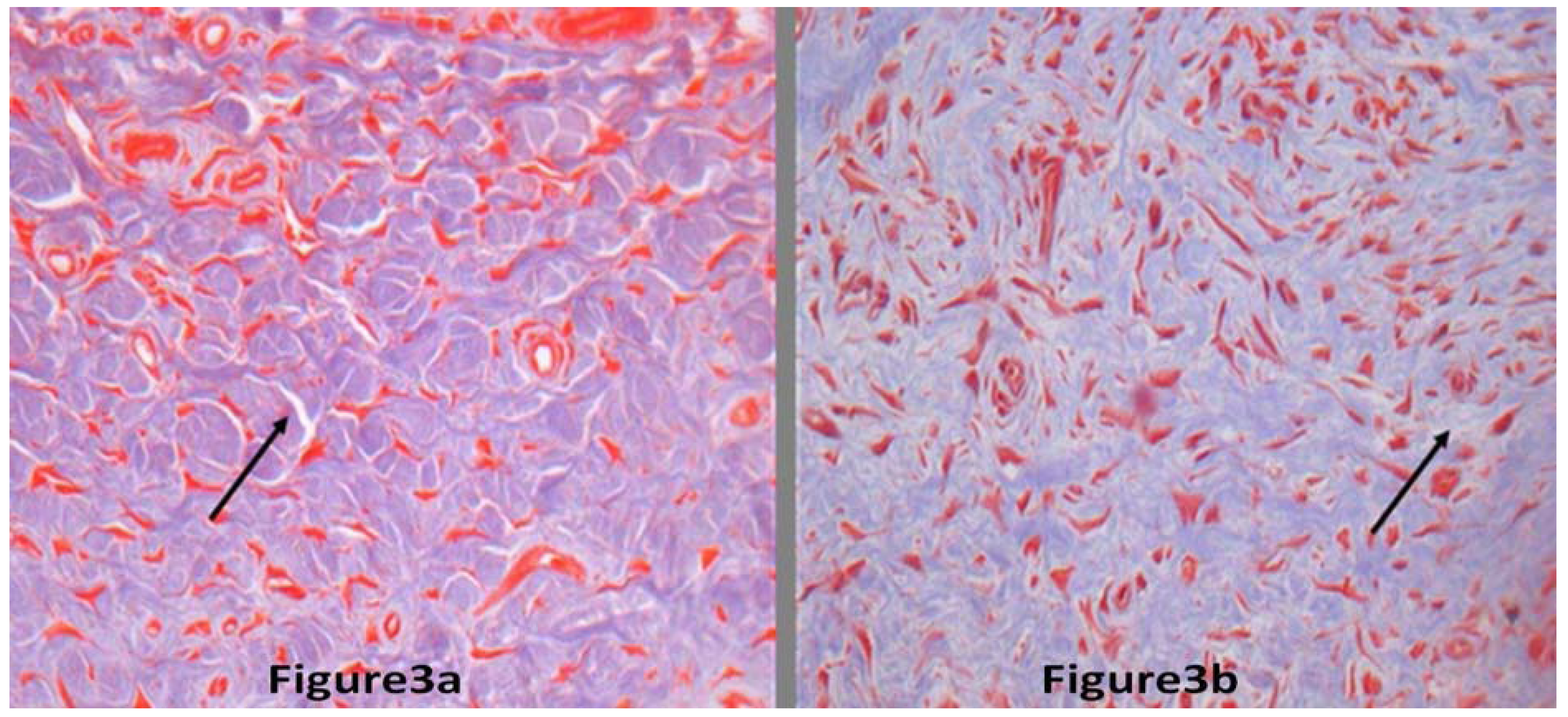 Molecules 17 02169 g003