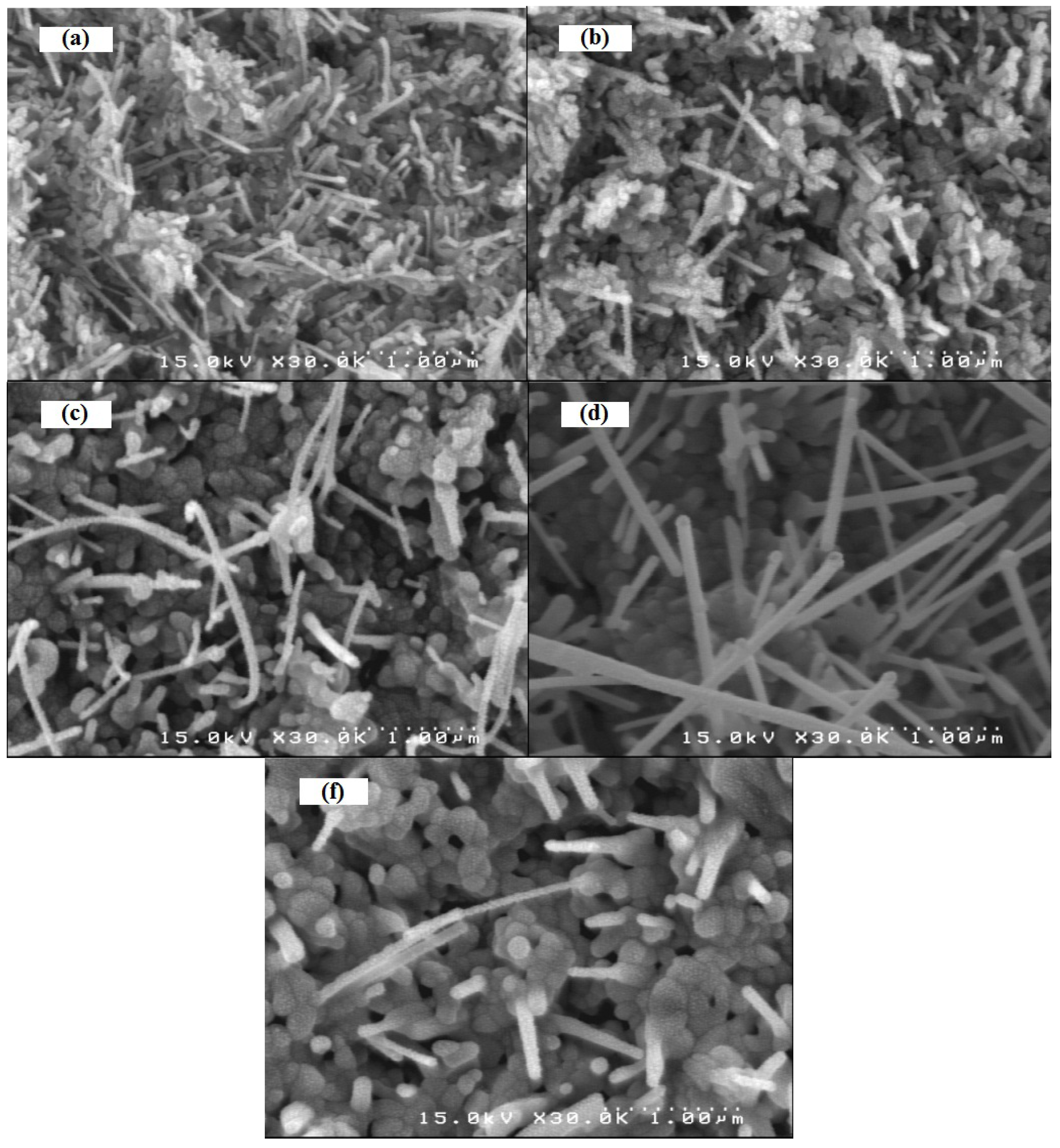 Molecules 17 05021 g002