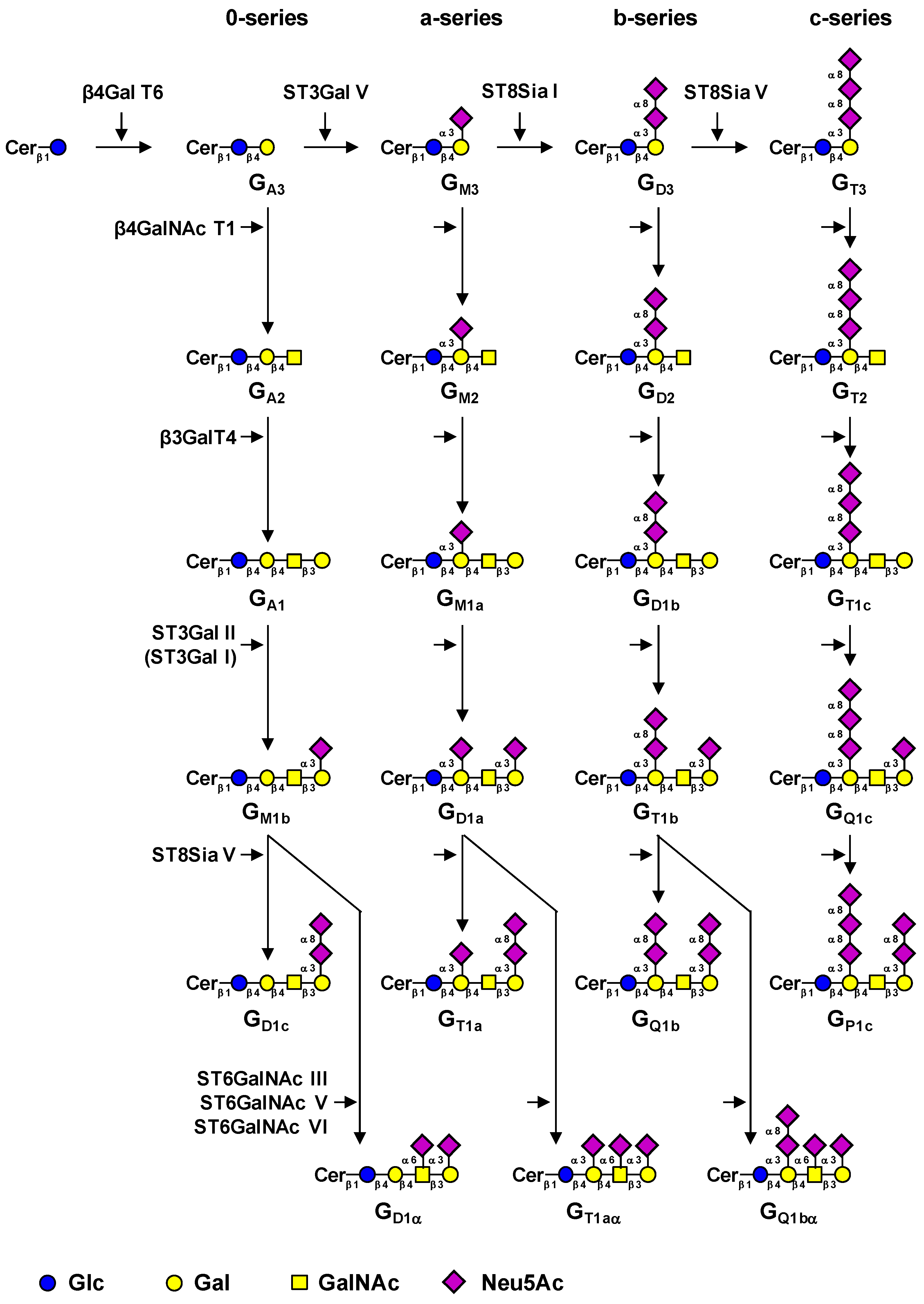 Molecules 17 09559 g001
