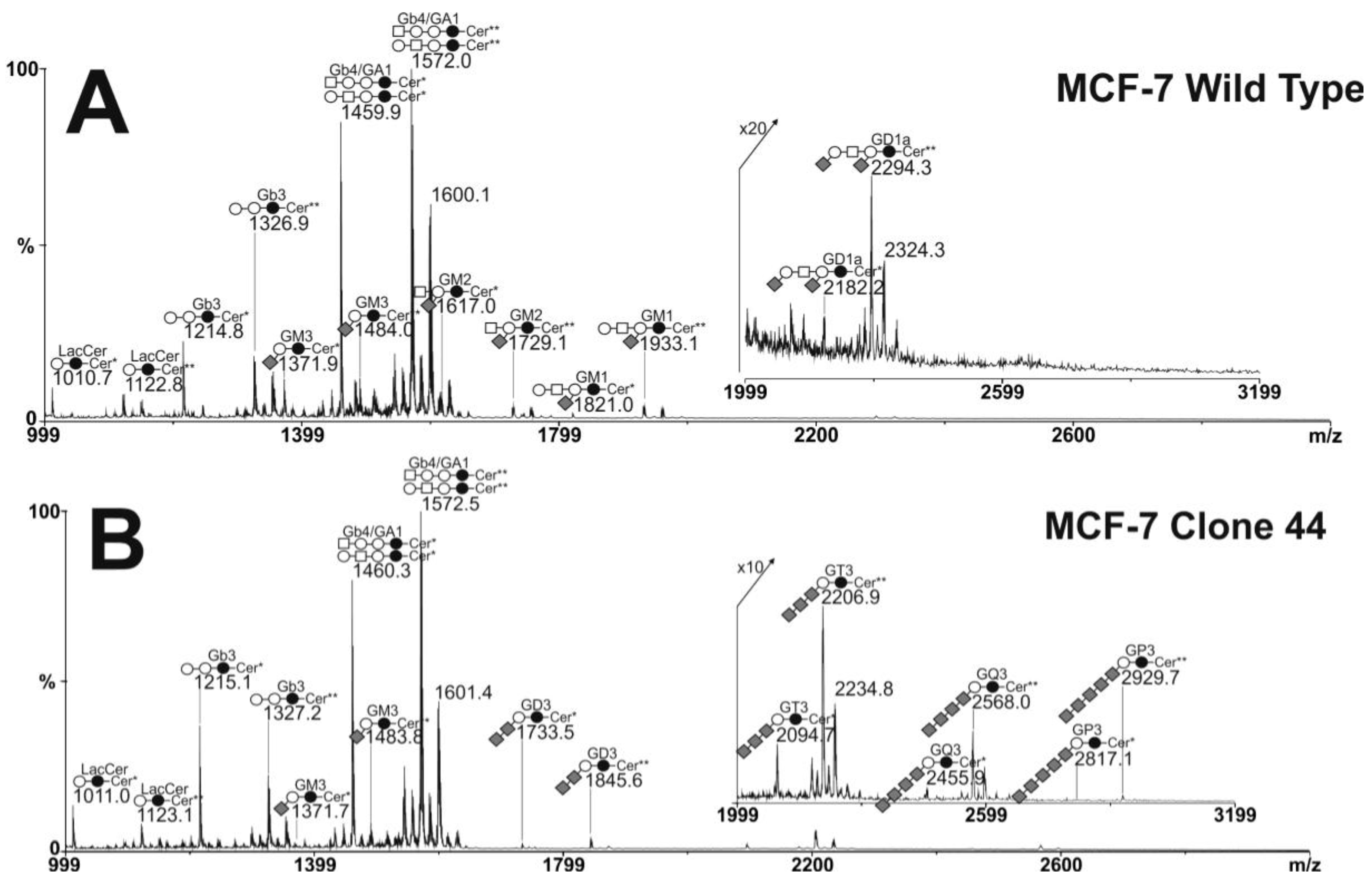 Molecules 17 09559 g004