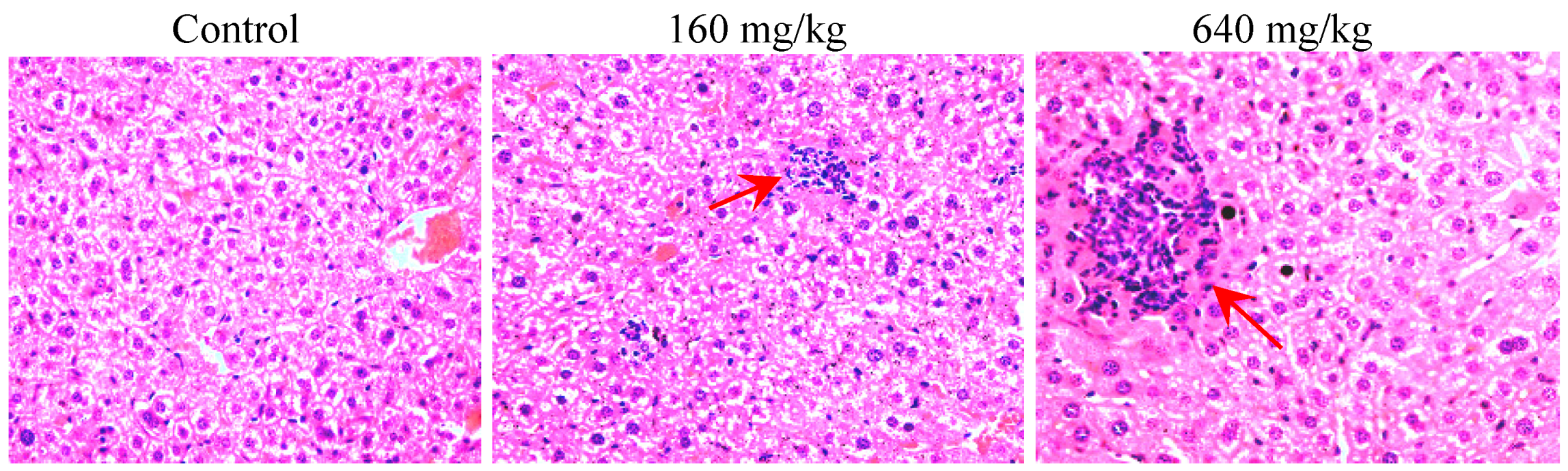 Molecules 17 09641 g004
