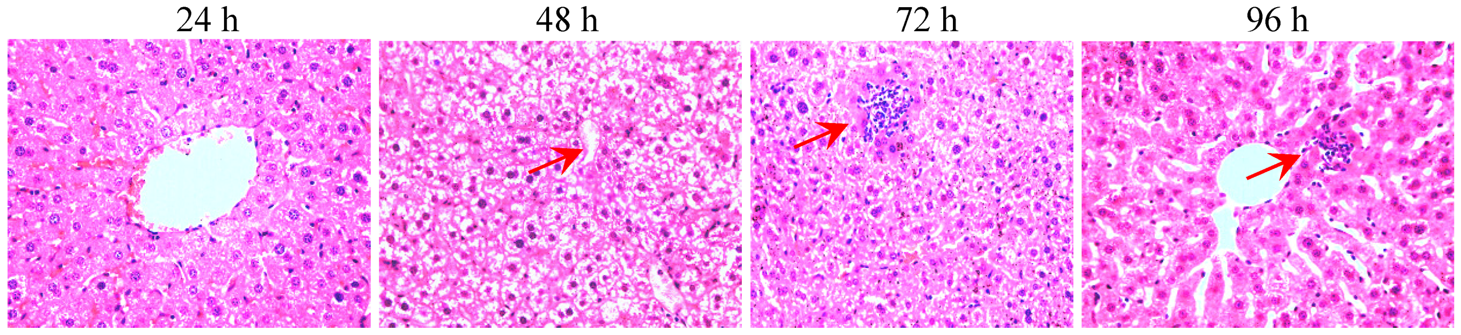 Molecules 17 09641 g005
