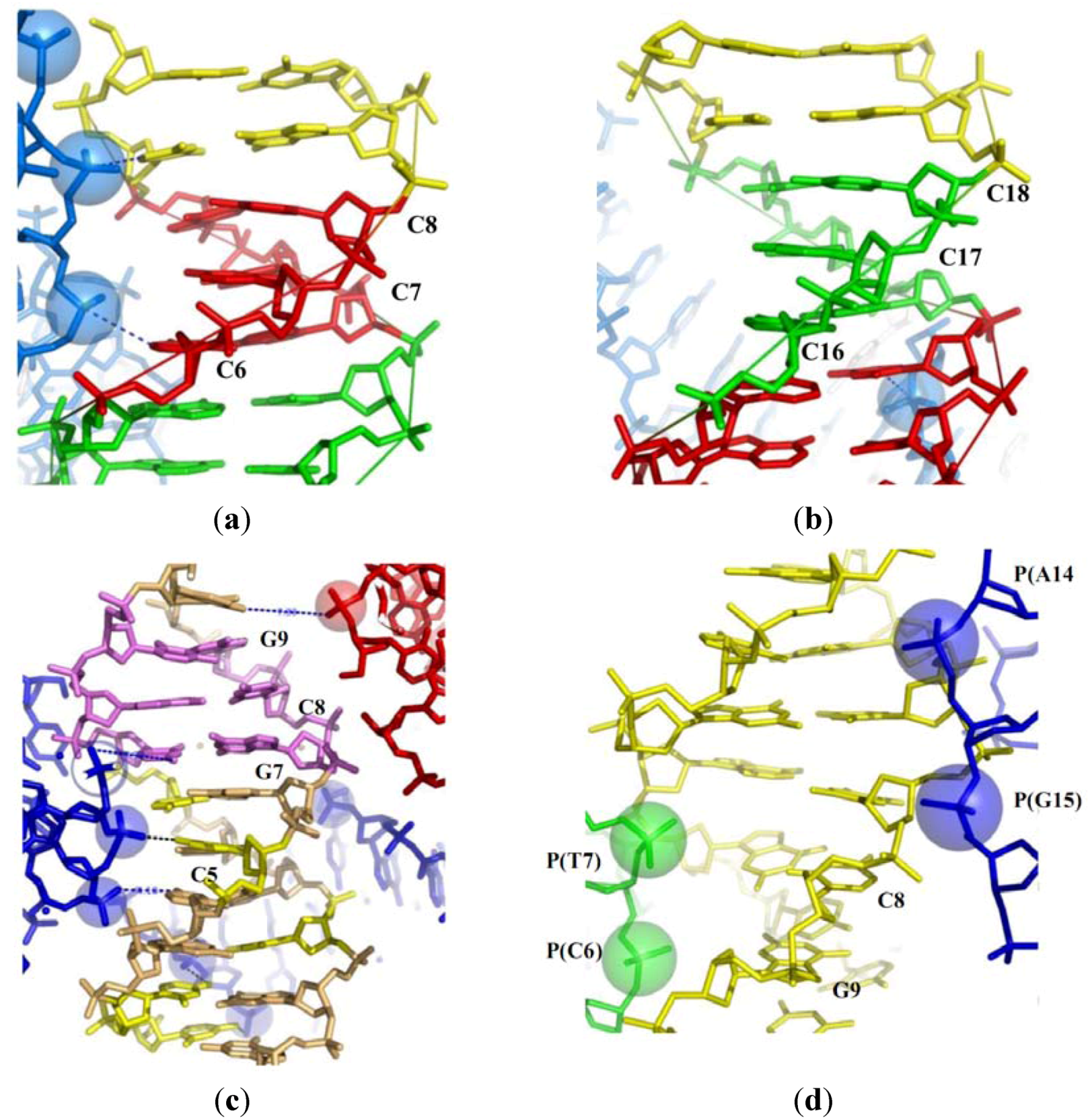 Molecules Free FullText DNADirected Base Pair Opening HTML