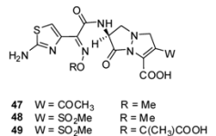 Molecules 17 12478 i003