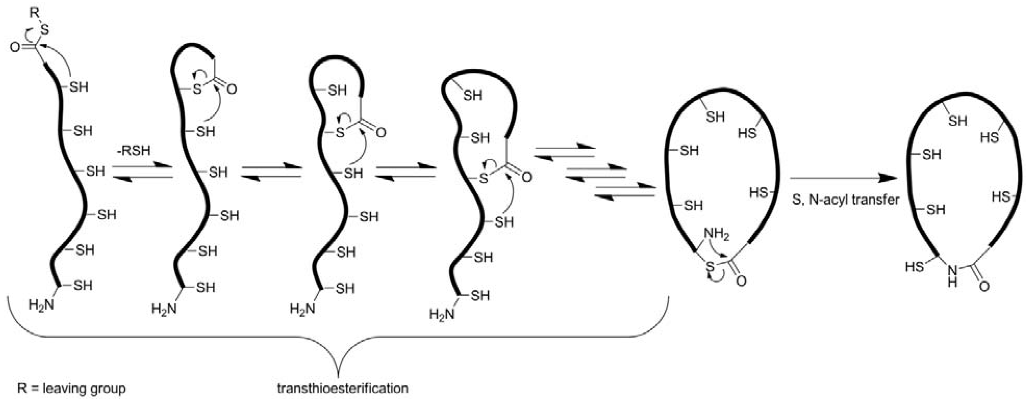 Molecules 17 12533 g005