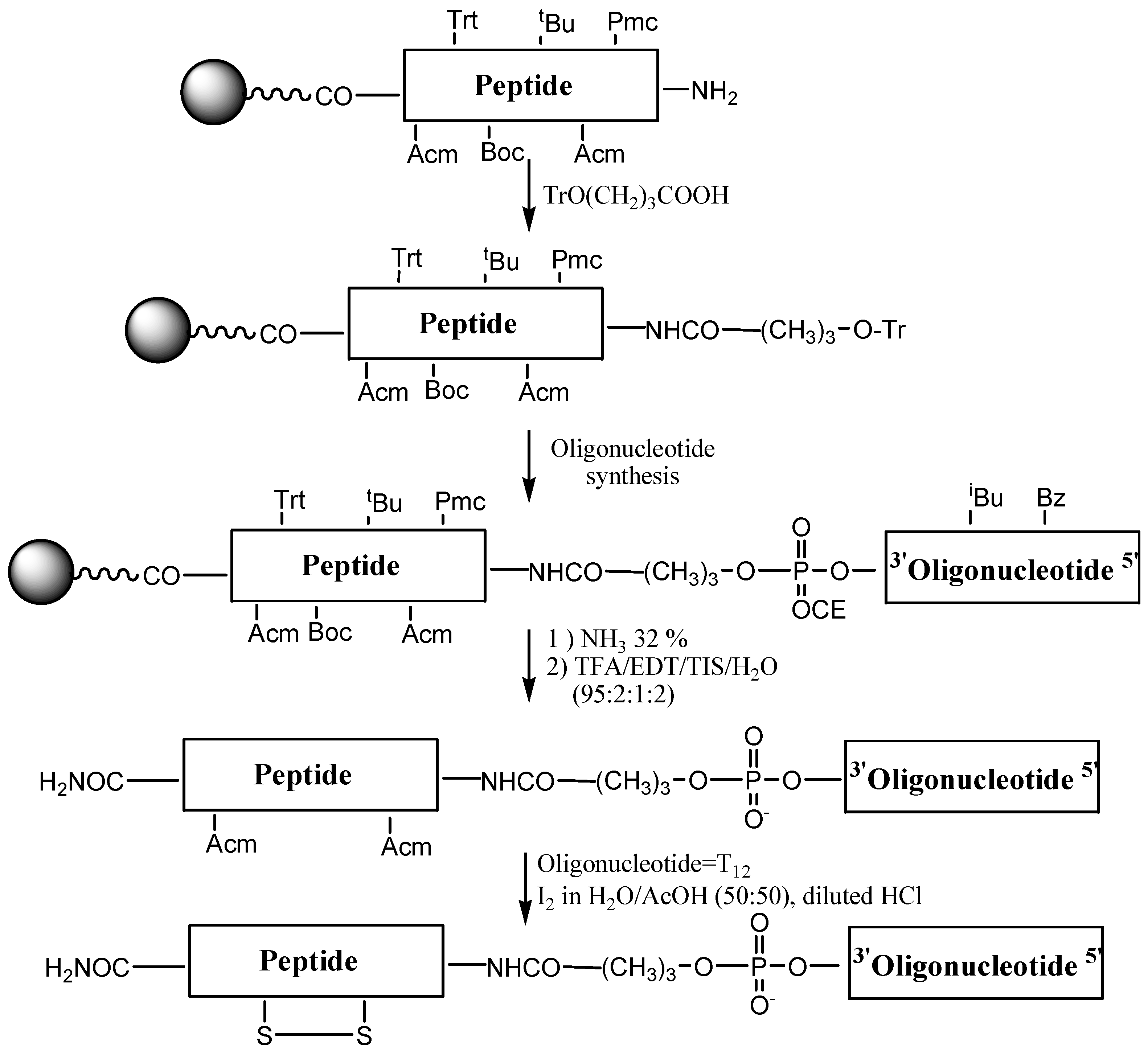 preparation and assay of enzymes