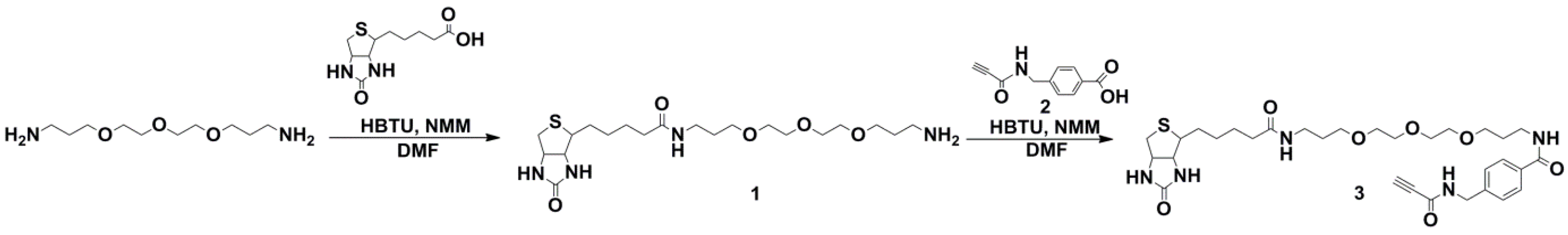 Molecules 17 14174 g004