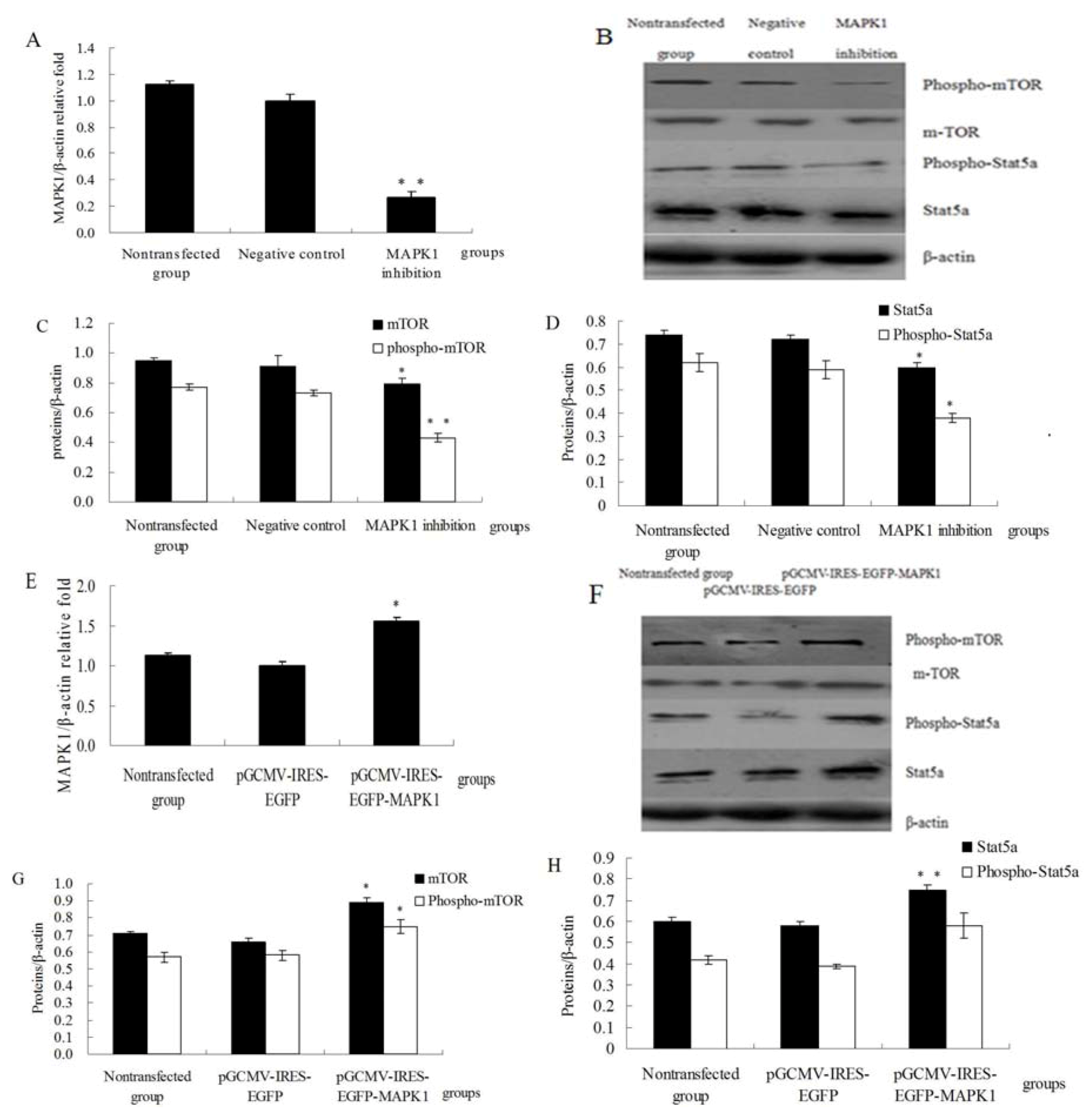 Molecules 18 00263 g003