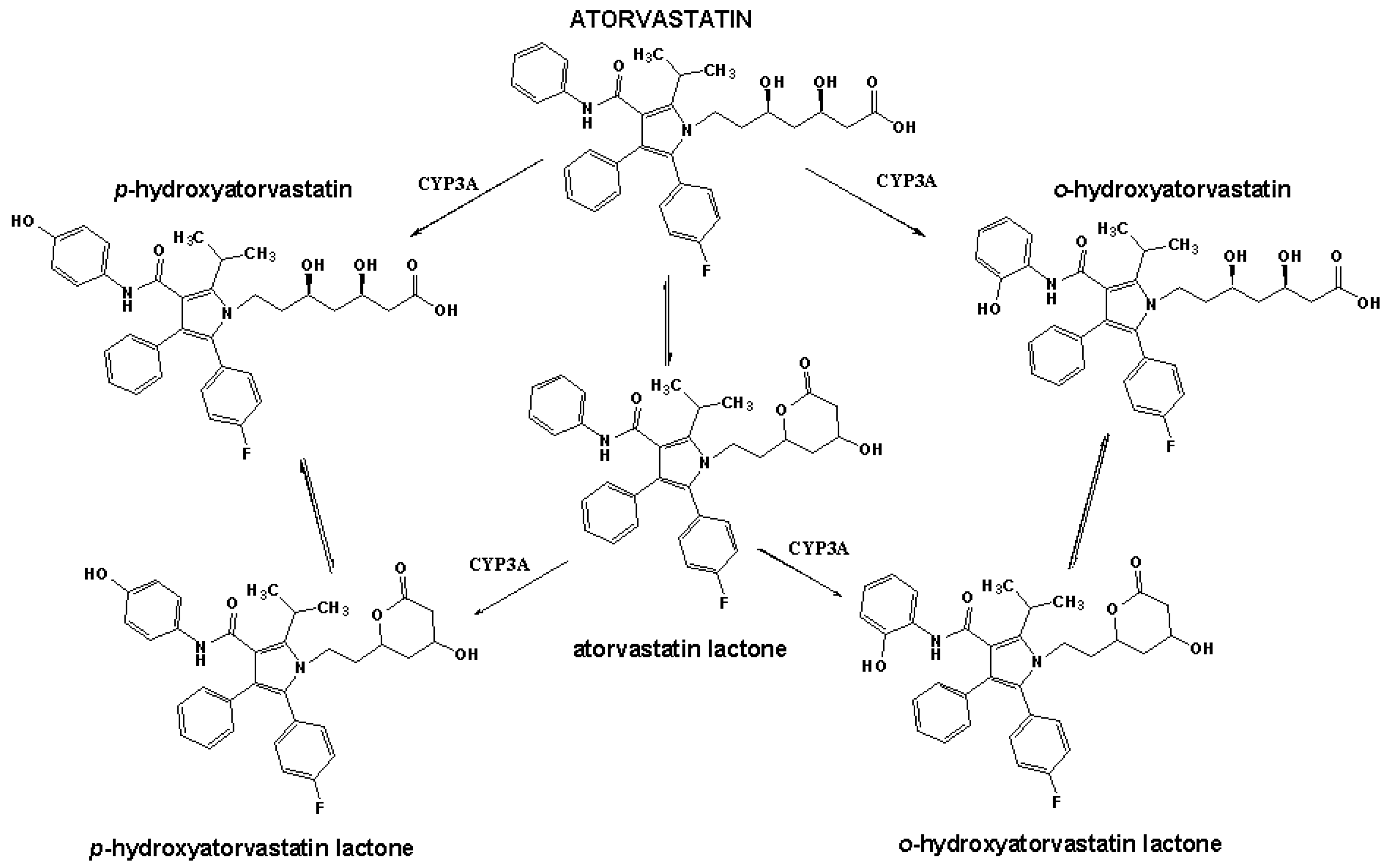Molecules 18 02469 g007