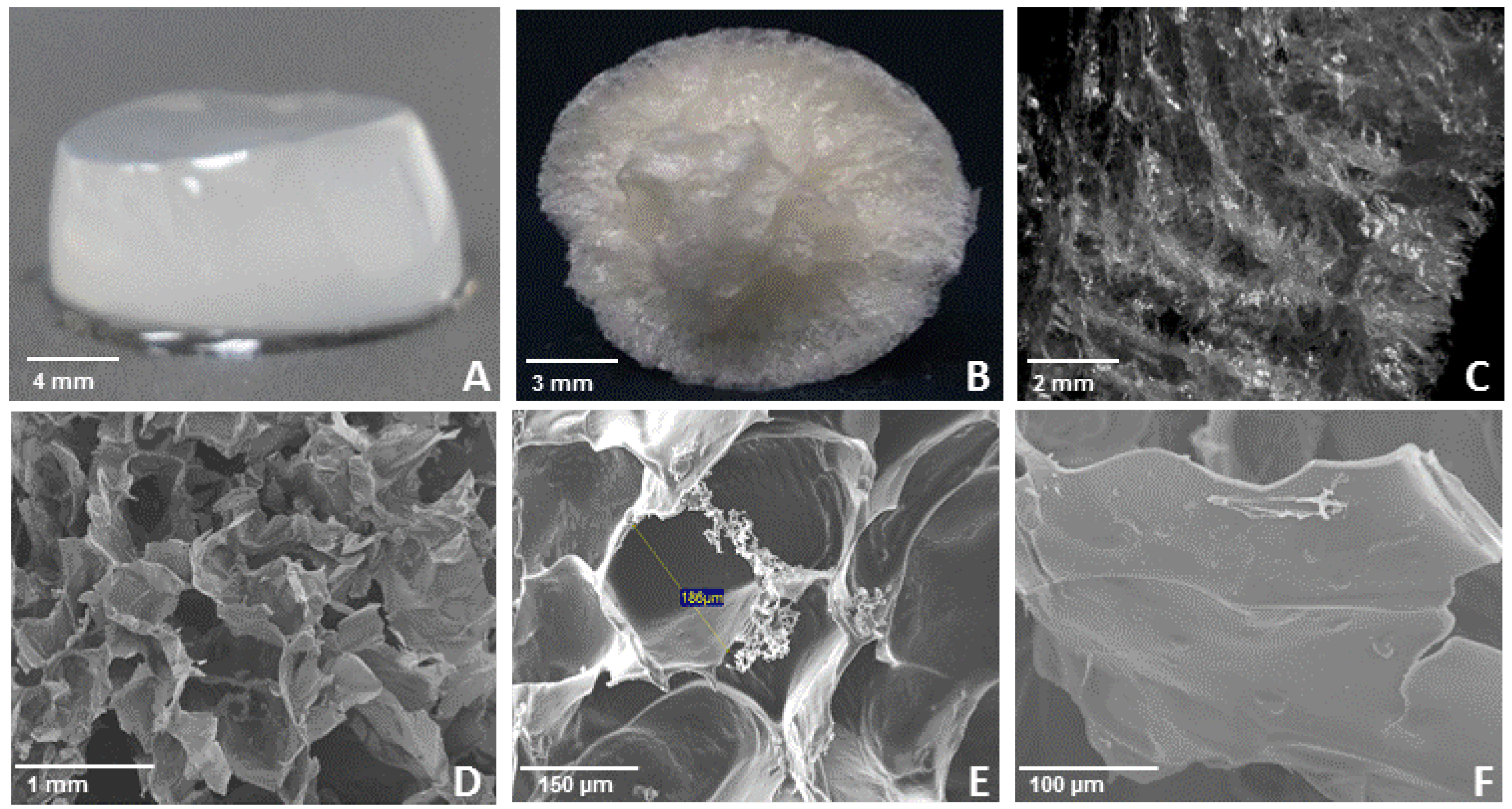 Molecules 18 08417 g005