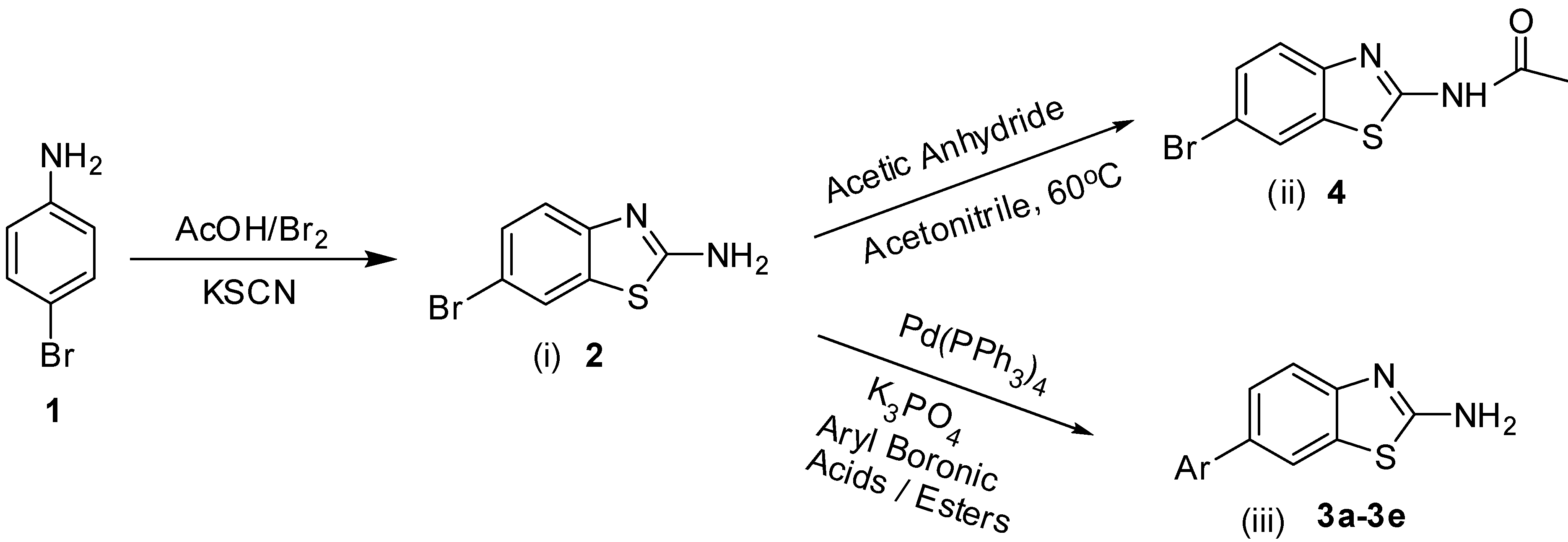 Suzuki Reaction Drug Synthesis Suzuki Reaction Drug Synthesis