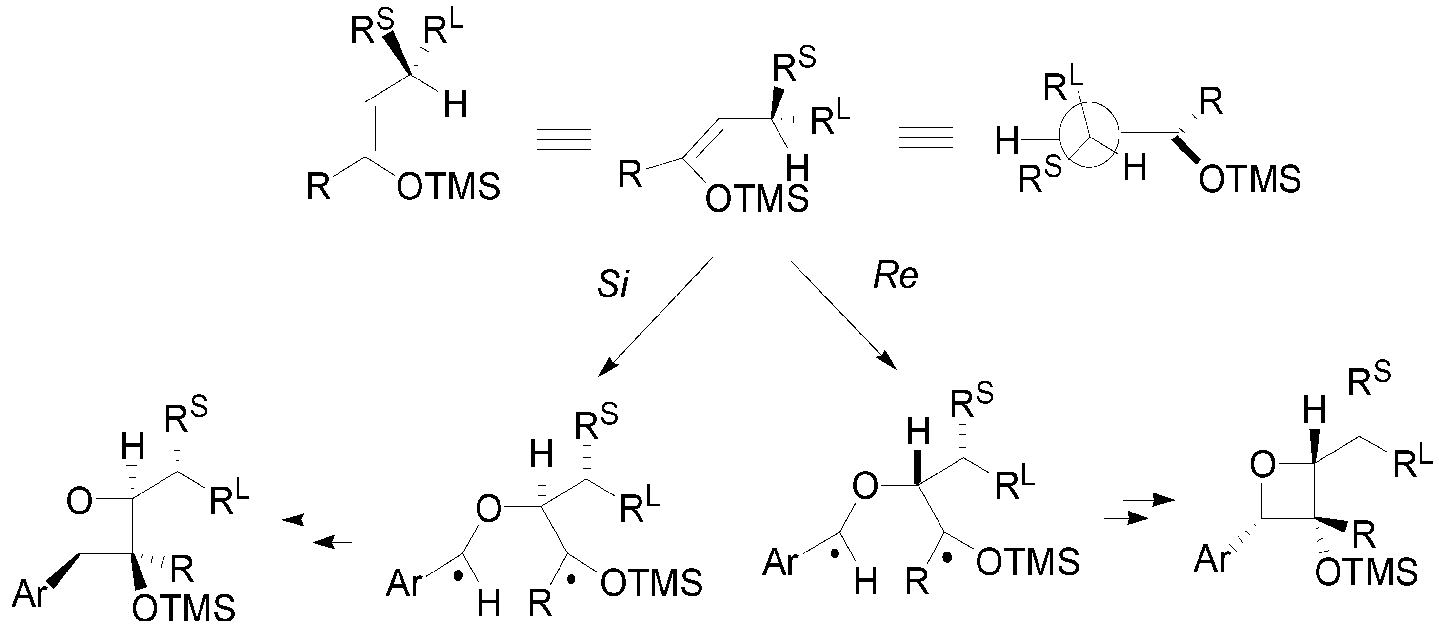 Molecules 18 11384 g021