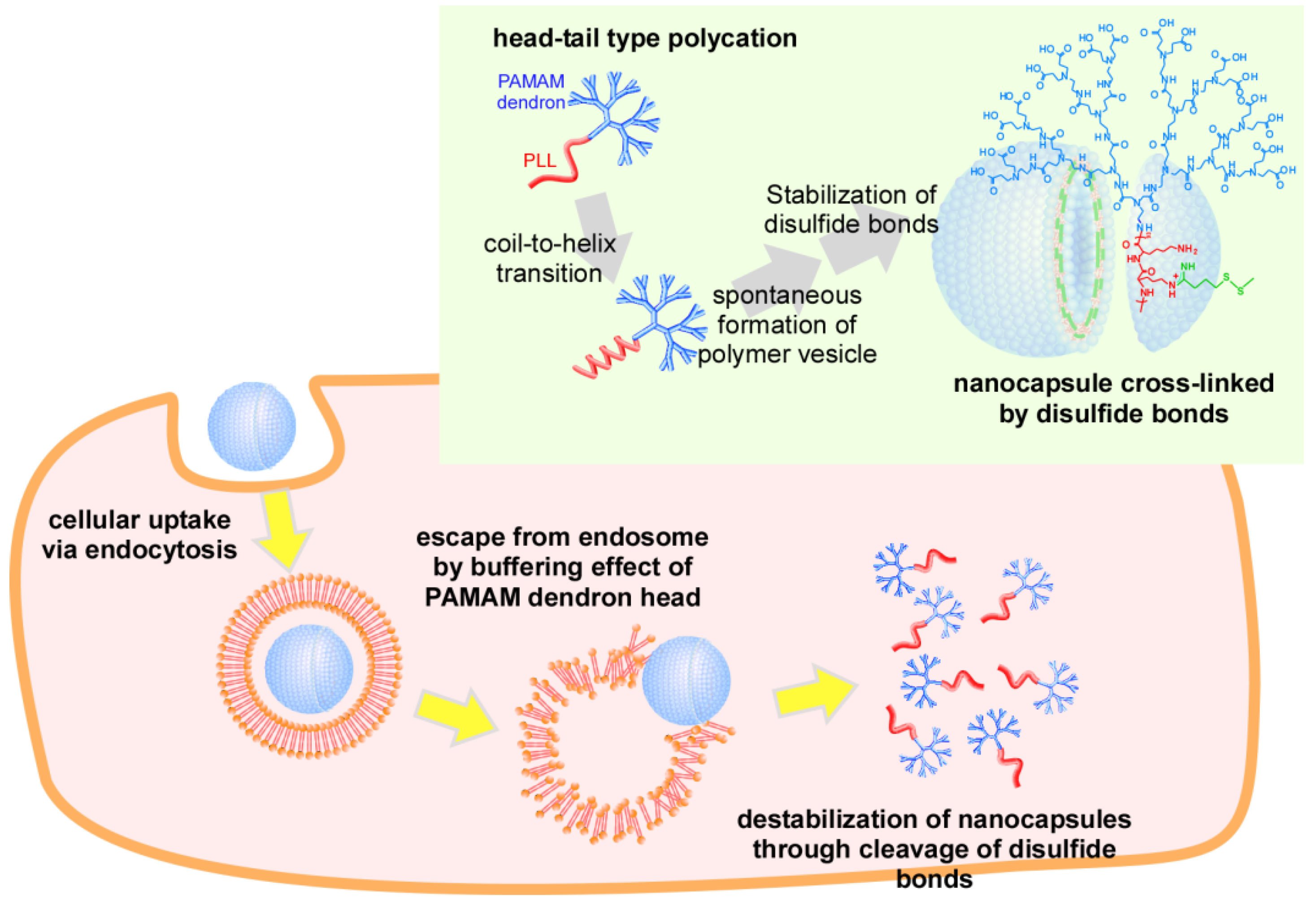 Molecules 18 12168 g001