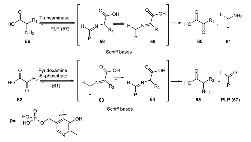 Molecules 18 12264 g029