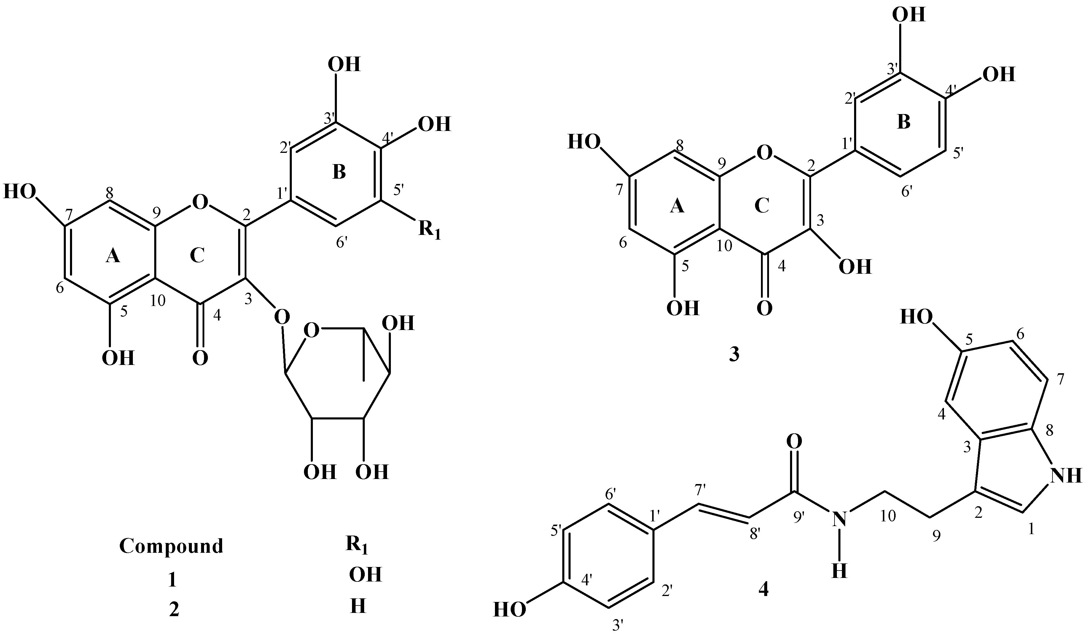 Molecules 18 12633 g001
