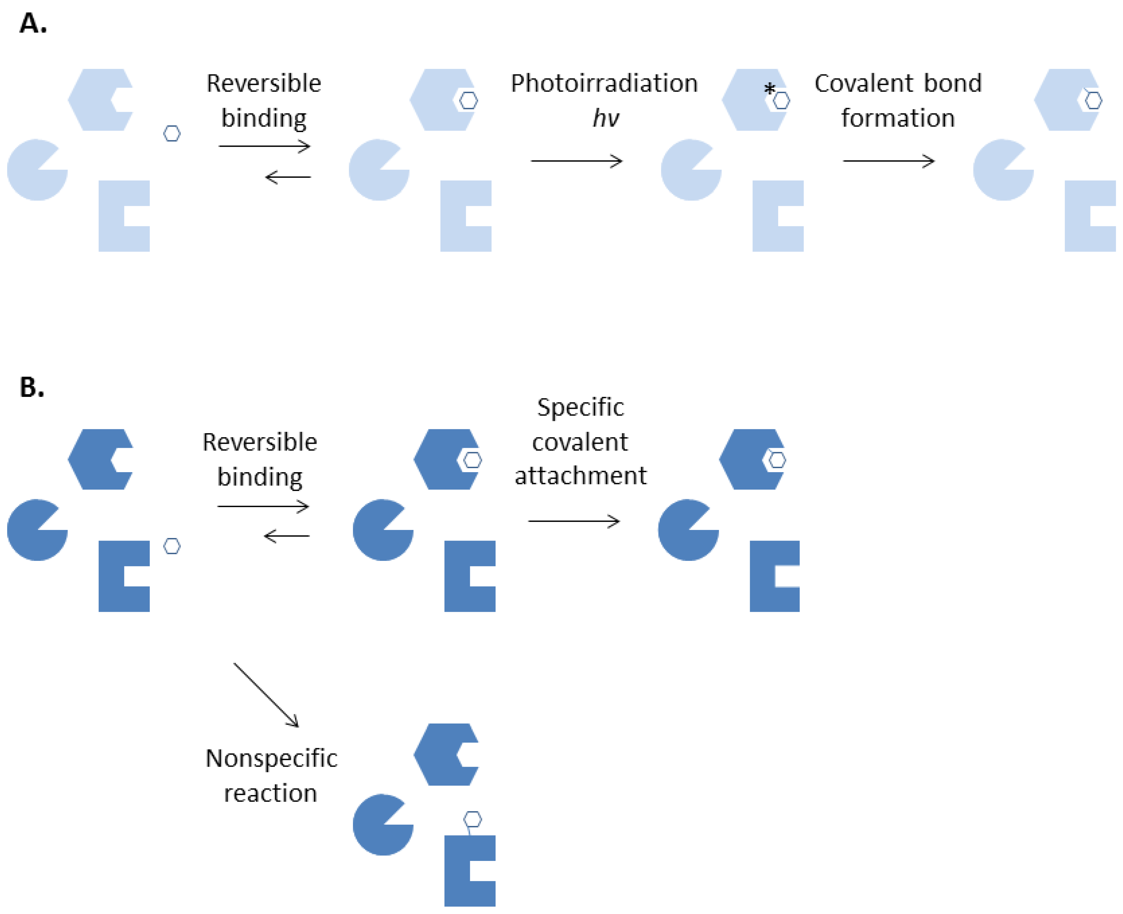 Molecules 18 13831 g001