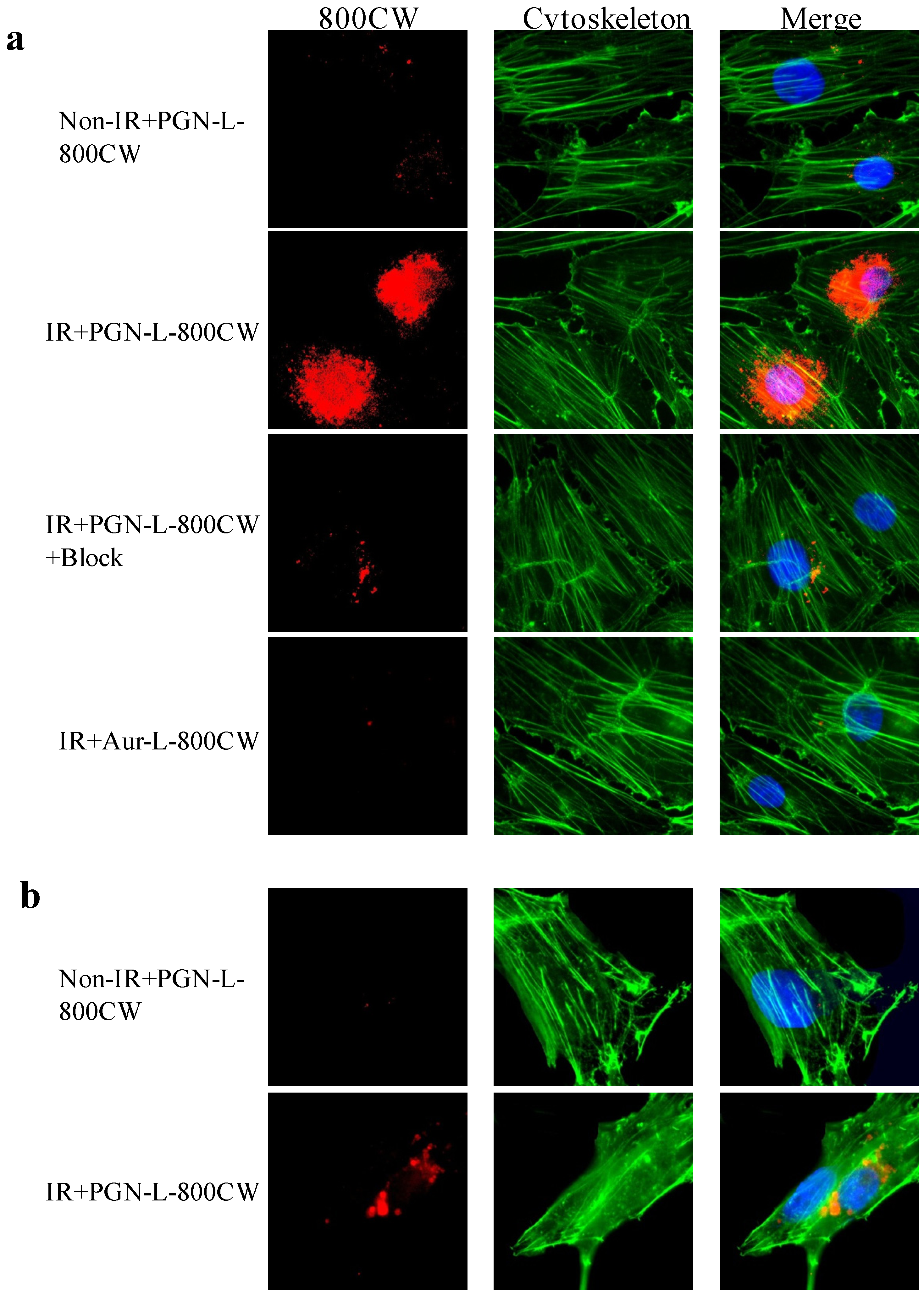 Molecules 18 14613 g002