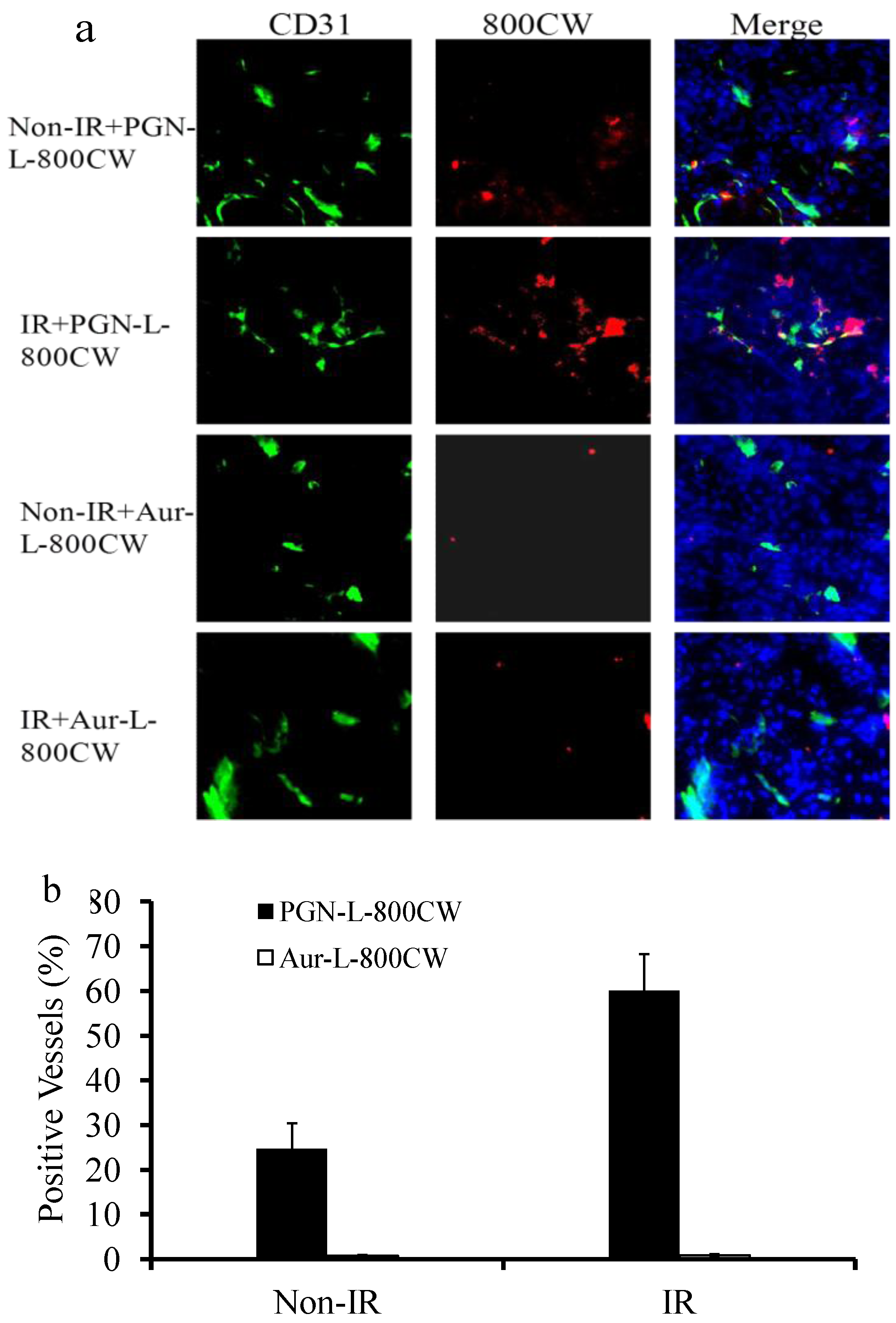 Molecules 18 14613 g006