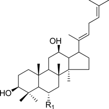 Molecules 18 14849 i003