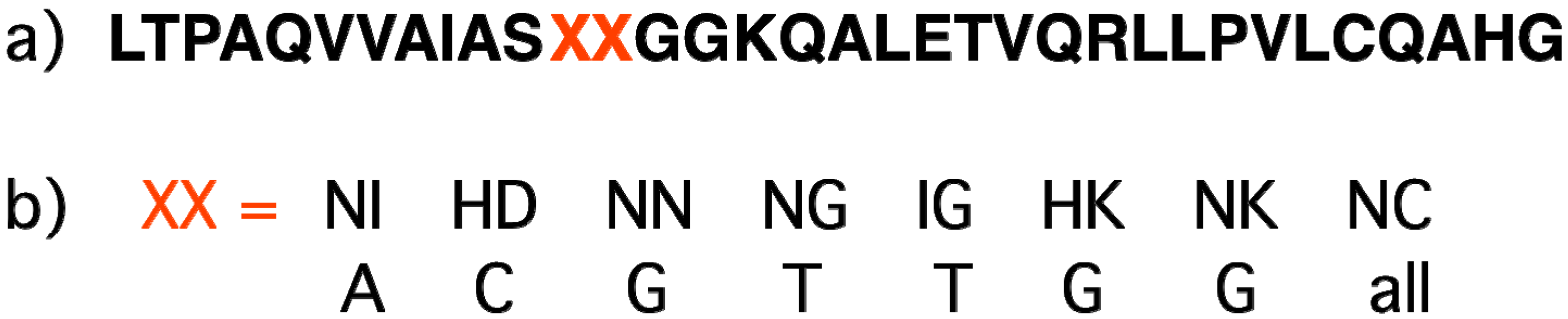 elements of nucleic acids