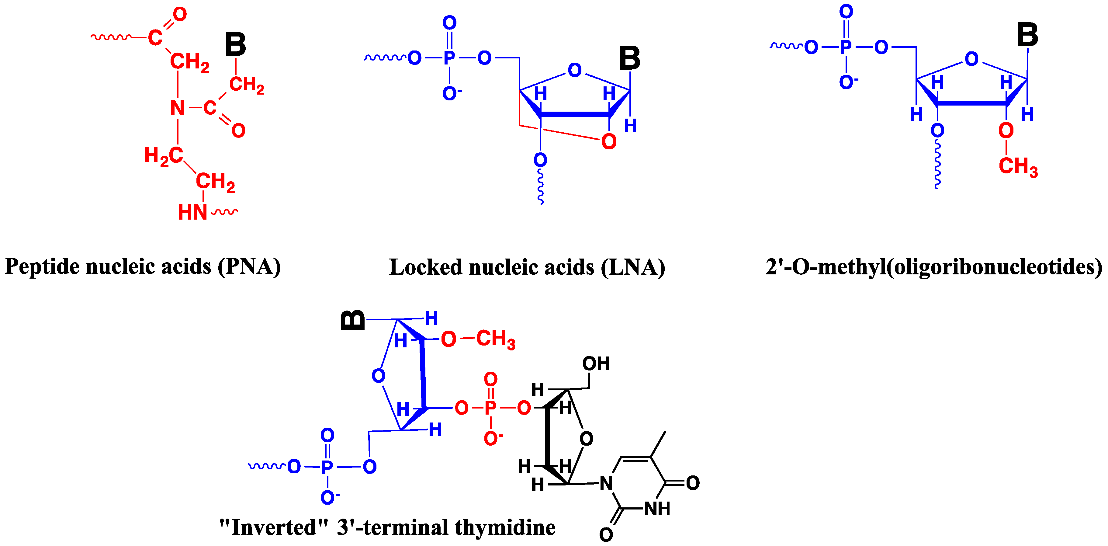 Diagram Nucliec Acids