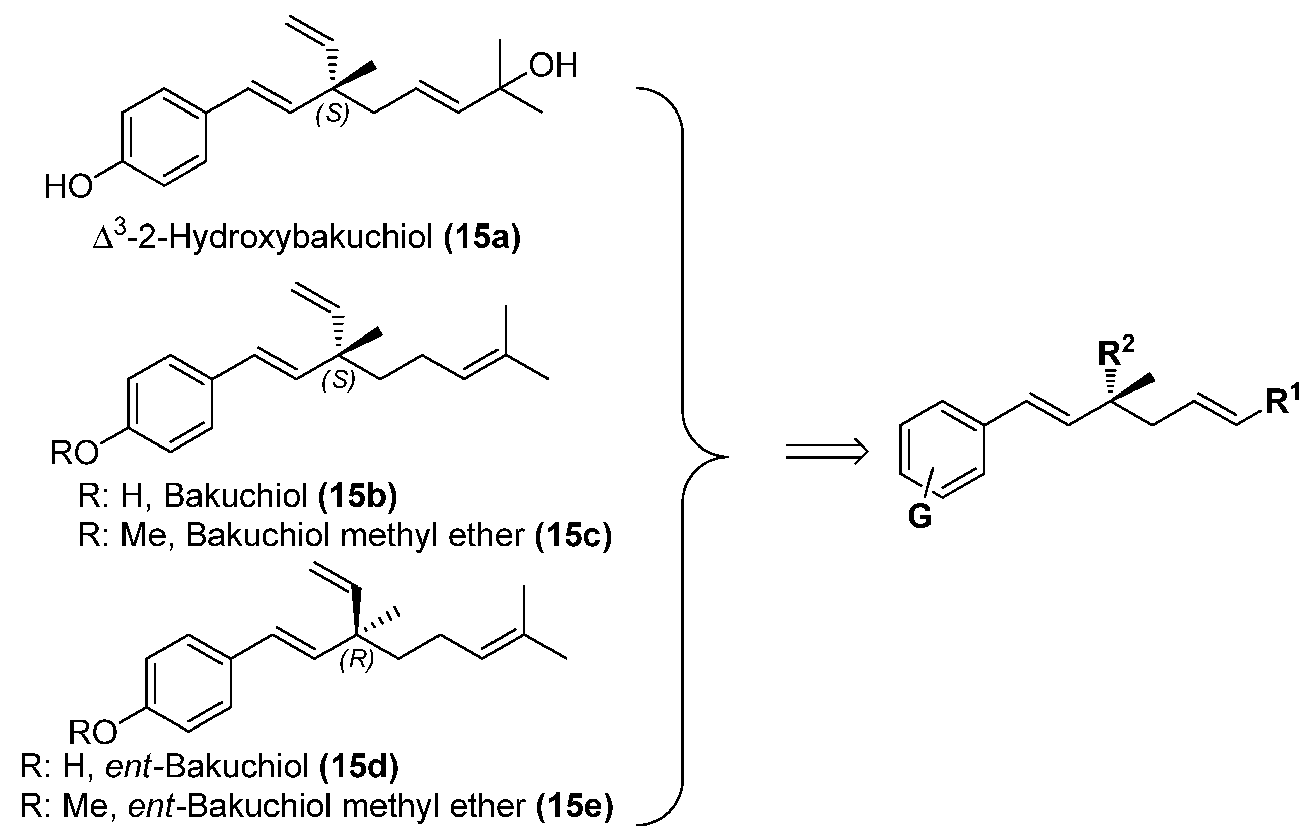 Molecules 19 02213 g001