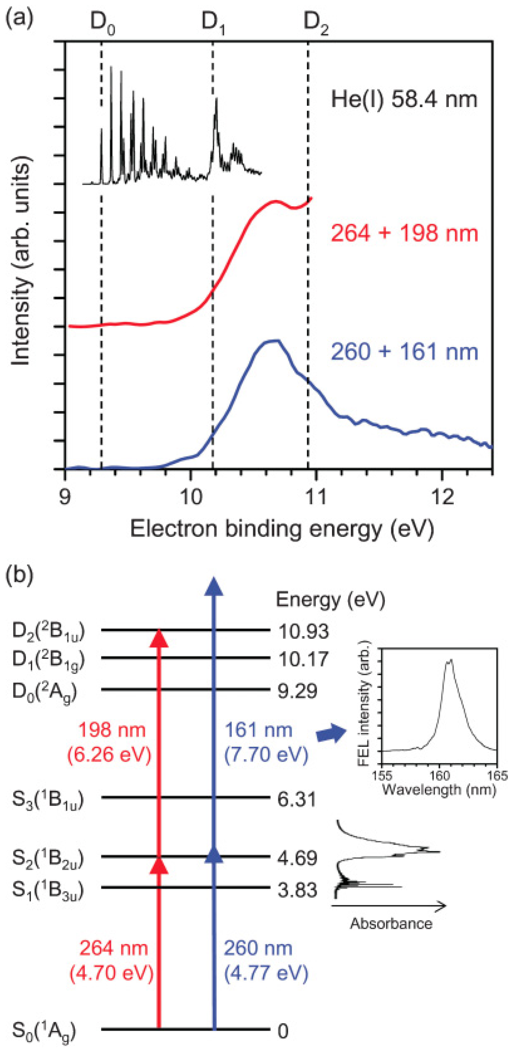 Molecules 19 02410 g007