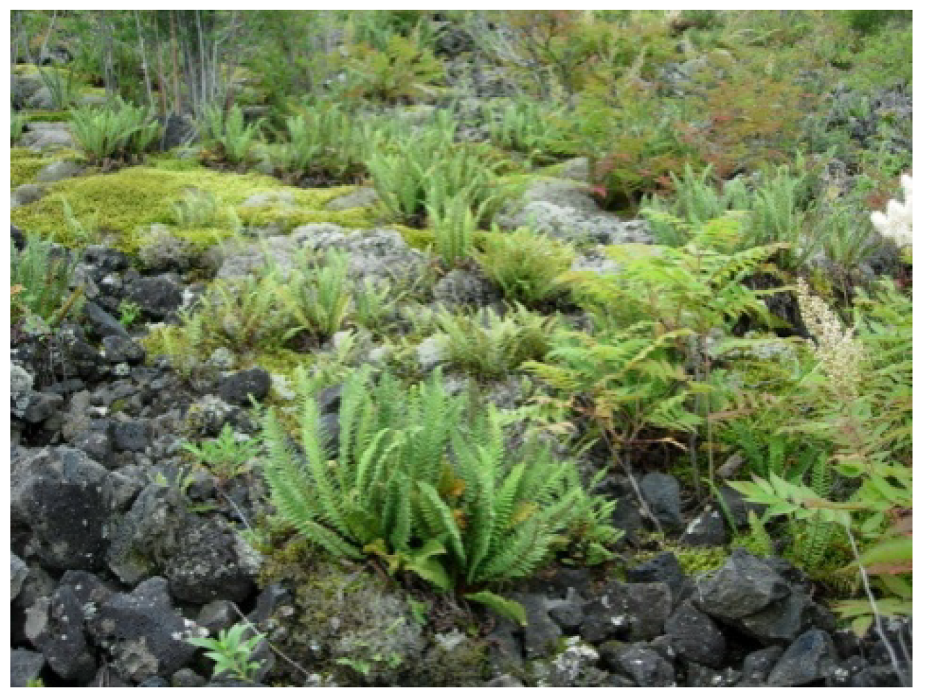 Molecules 19 03345 g001