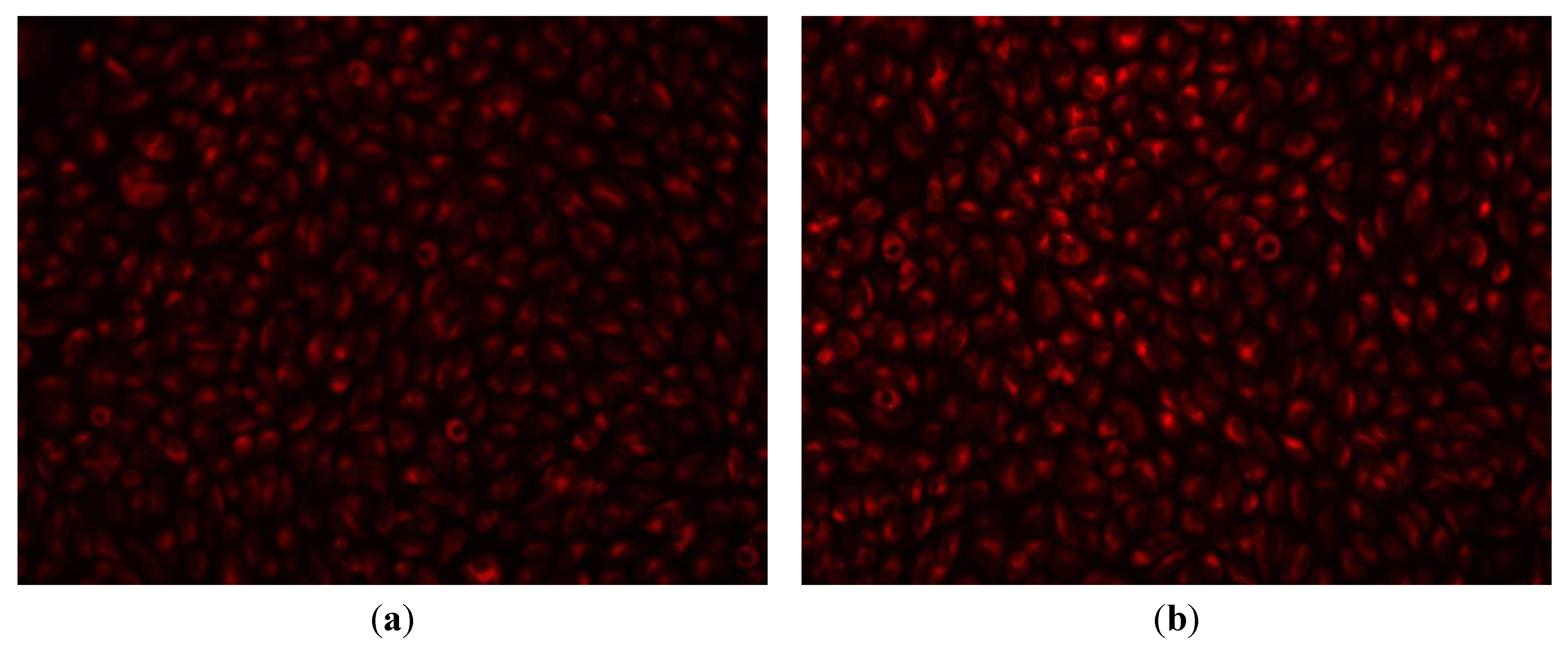 Molecules 19 05013 g007