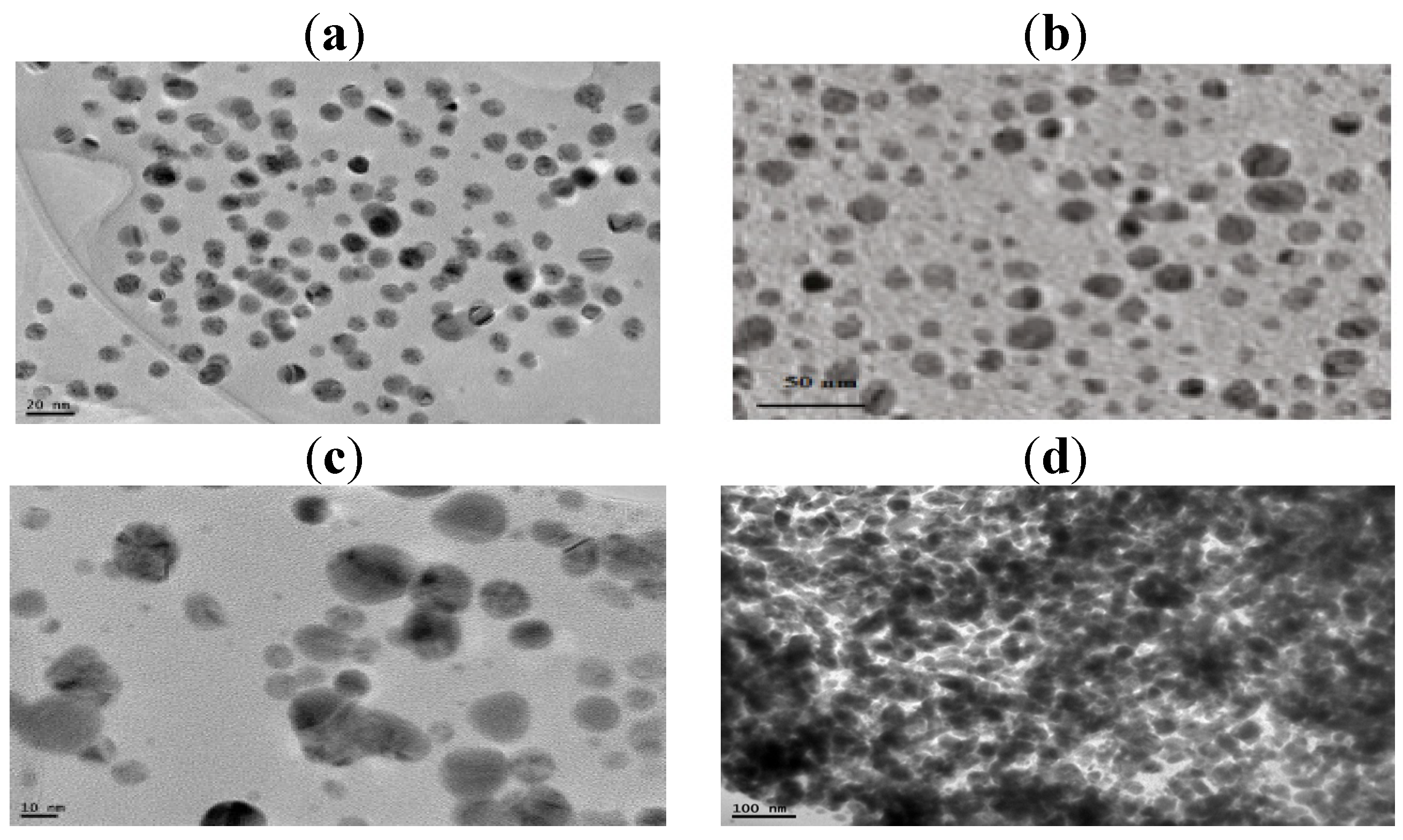 Molecules 19 06737 g008