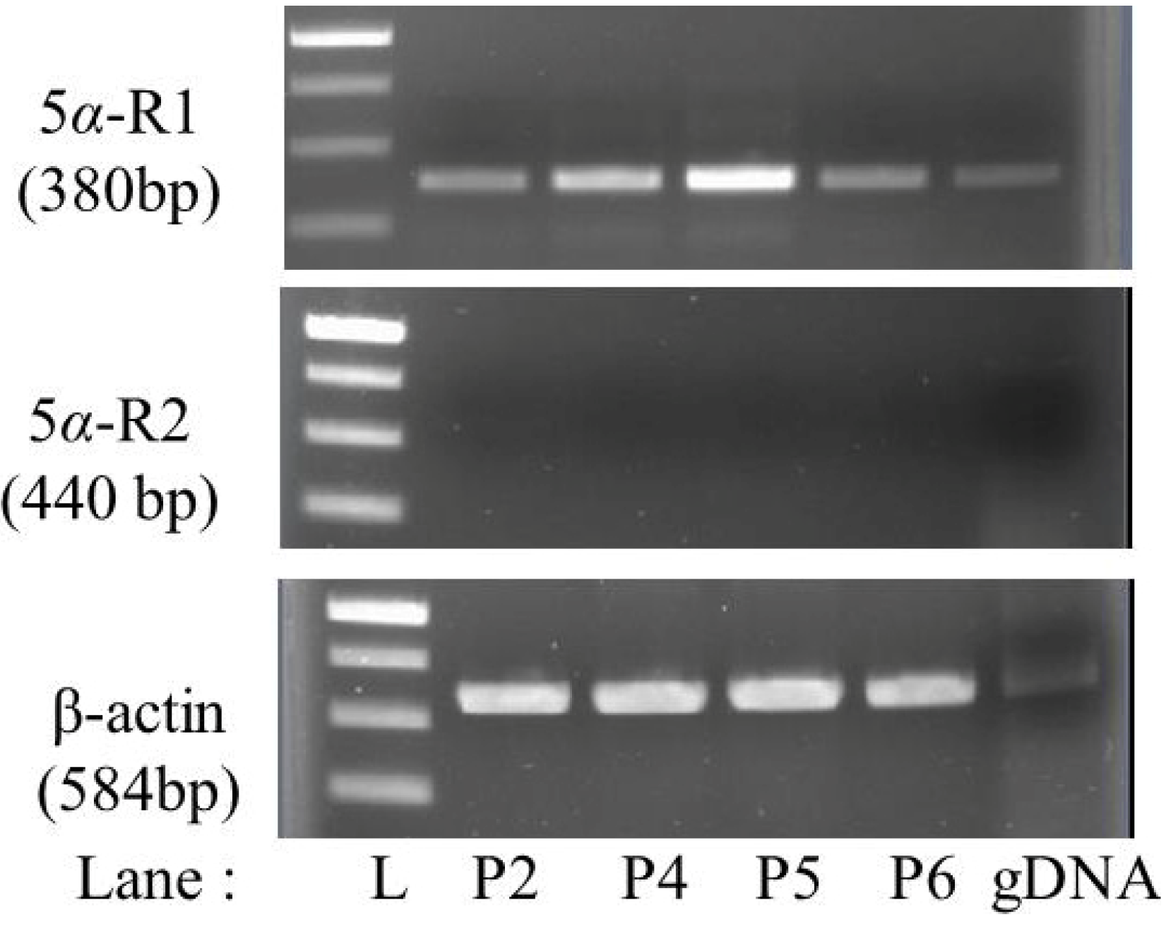 Molecules 19 06809 g001