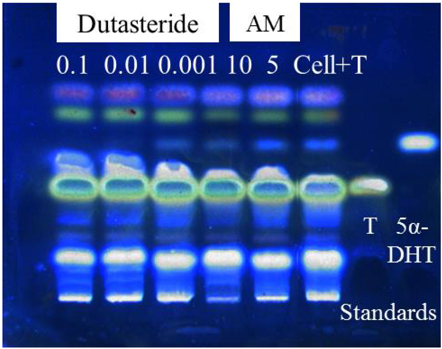 Molecules 19 06809 g002