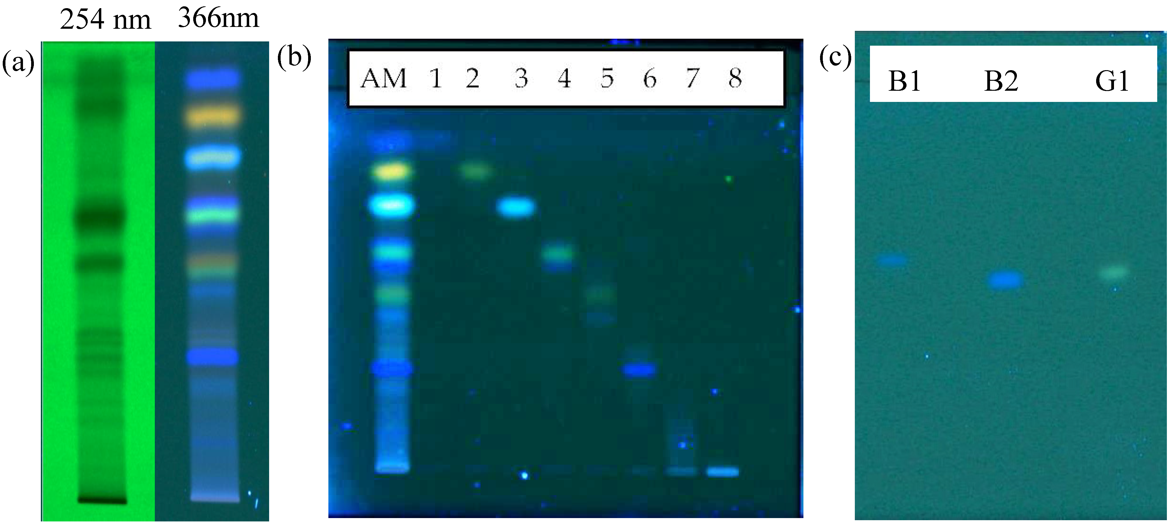 Molecules 19 06809 g003